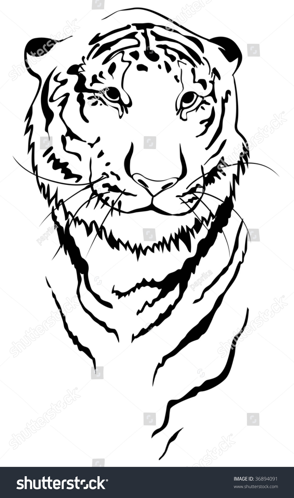 Tiger Linear Stock Vector Illustration 36894091 : Shutterstock