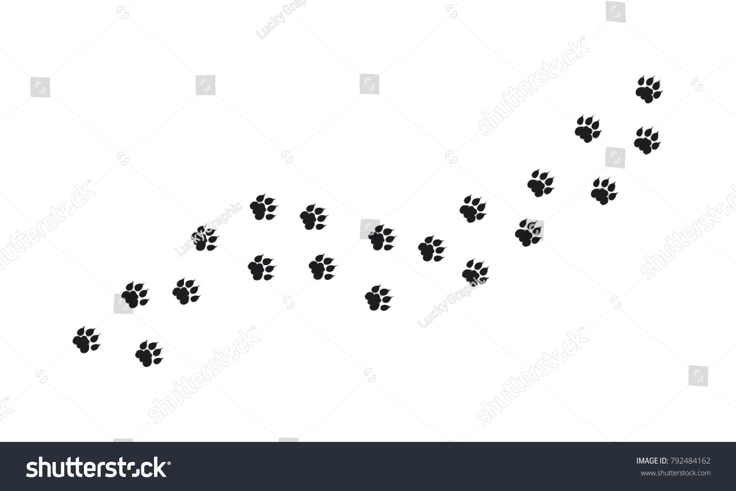 Tiger Walking Foot Print Designs Lion Stock Vector (Royalty Free ...