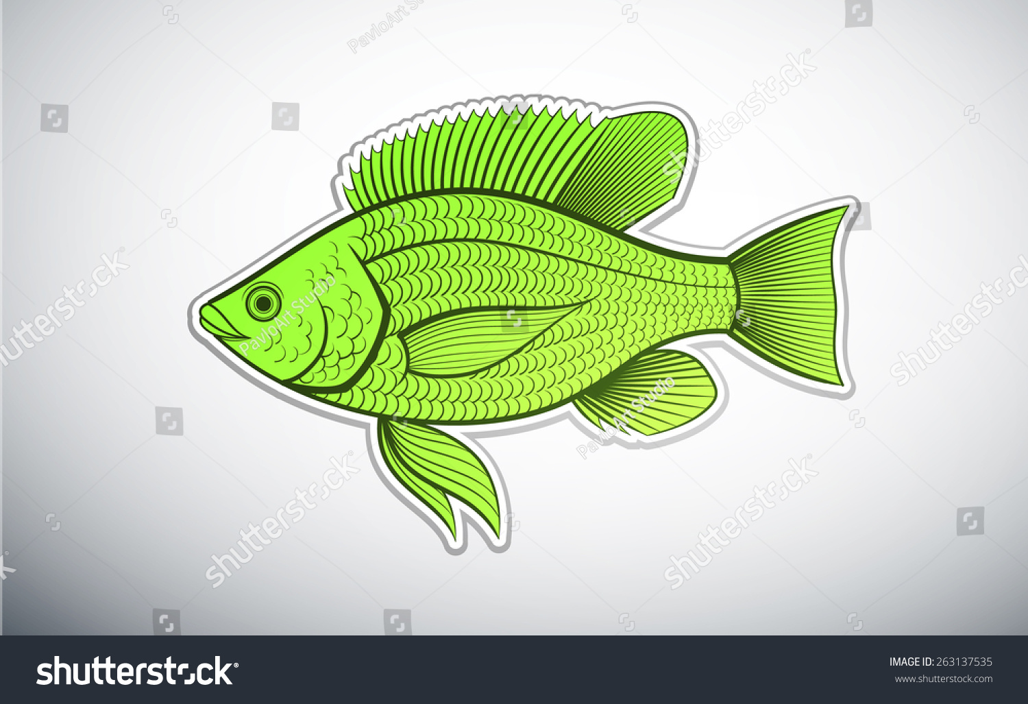 Tilapia Fish Outline Color Vector Illustration Stock Vector Royalty