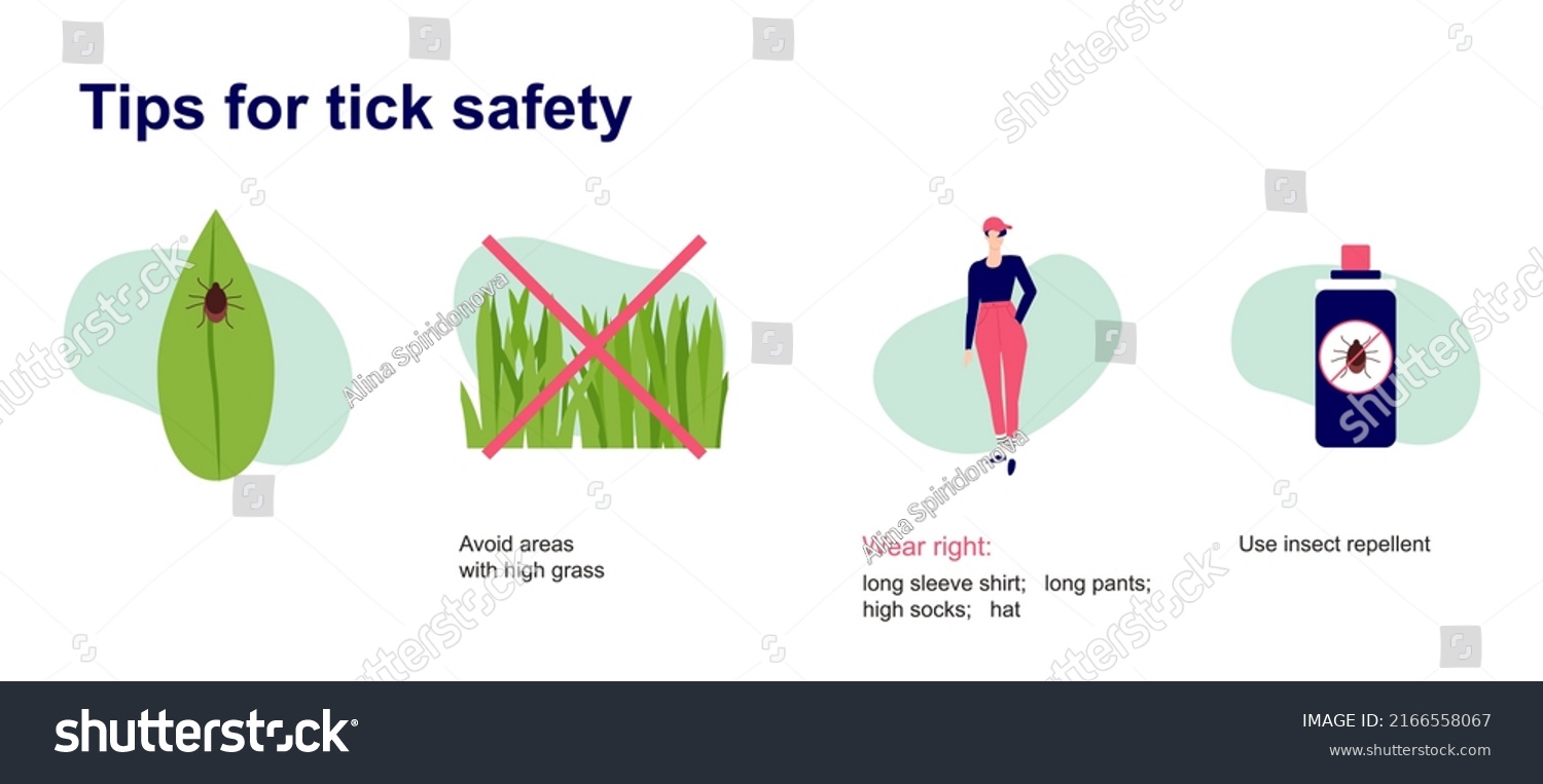 Tips Tick Safety Infographic How Protect Stock Vector (Royalty Free ...