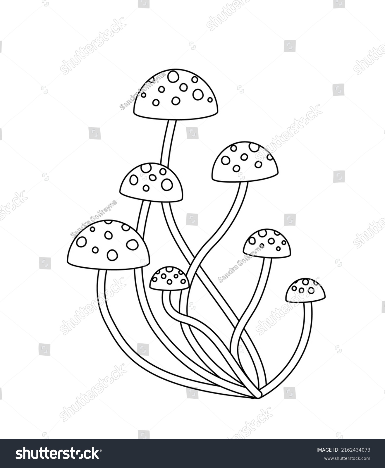 Toadstool Coloring Book Black White Mushrooms Stock Vector (Royalty ...