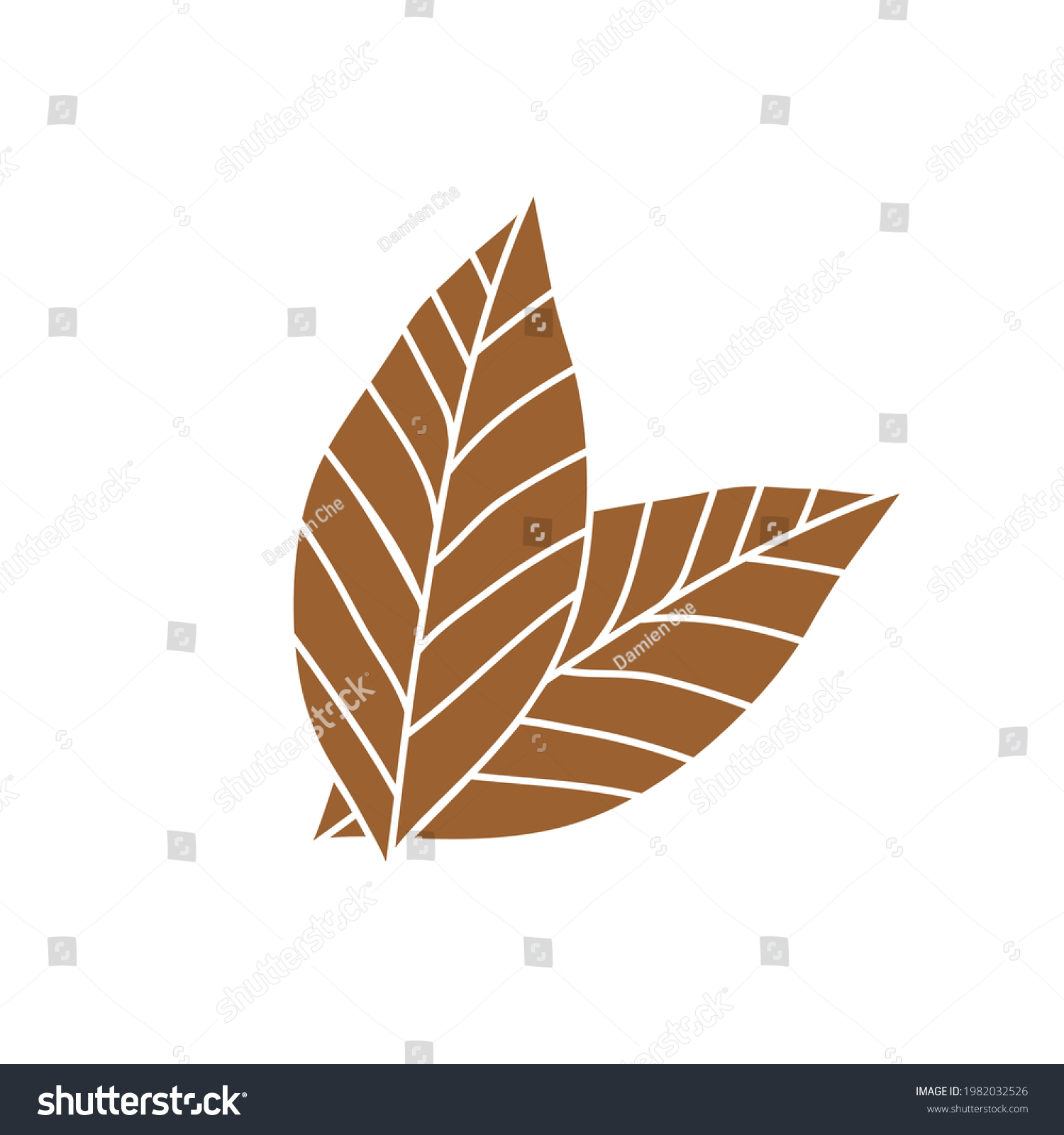 14,010 Tobacco tree Images, Stock Photos & Vectors | Shutterstock