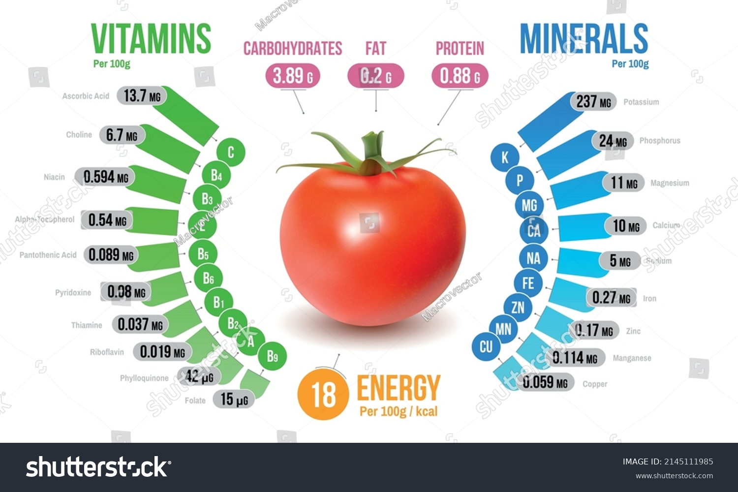 Tomato Nutrients Infographics Diagram Representing Vitamins Stock ...