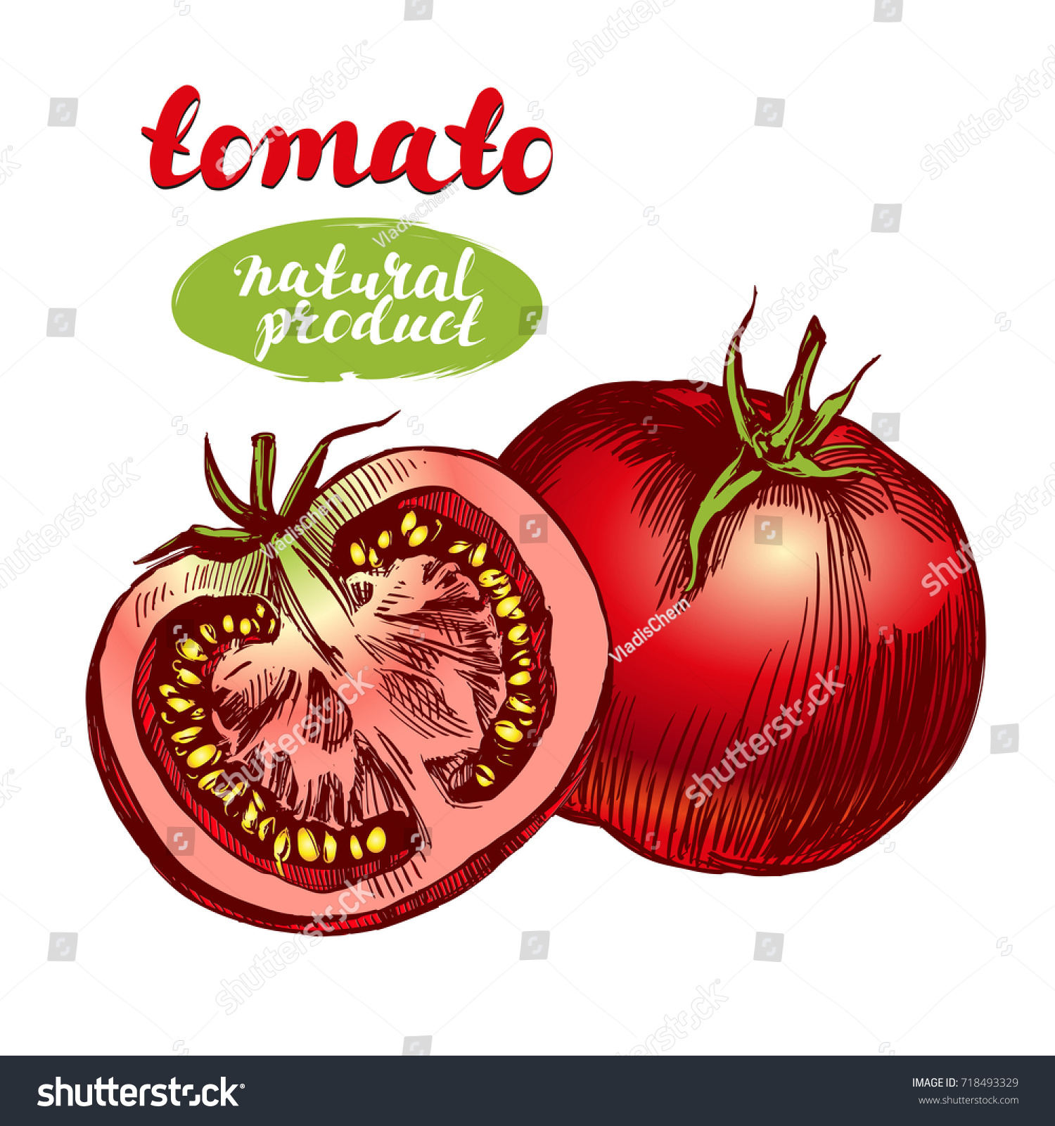 Tomato Vegetable Set Hand Drawn Vector Stock Vector (Royalty Free ...