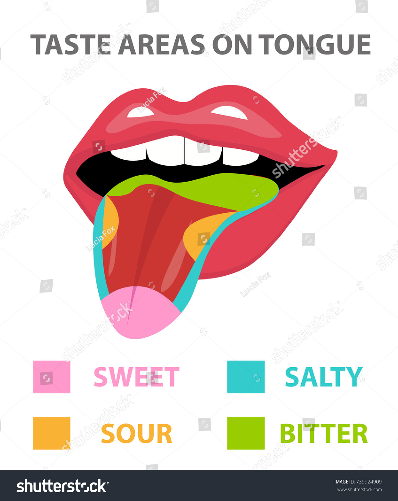 Tongue Map Theory