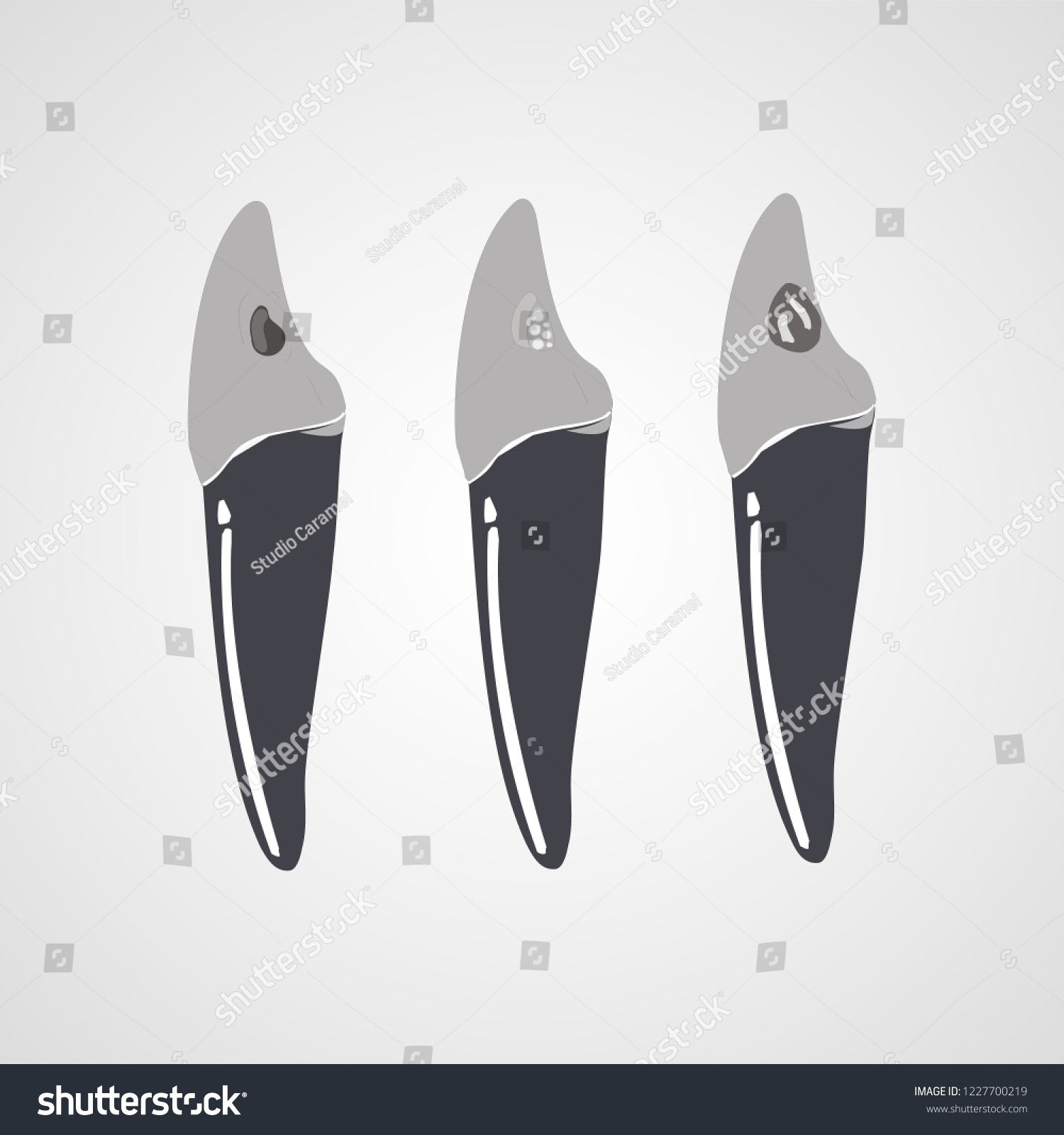 Tooth Isolated Flat Vector Image Stock Vector (Royalty Free) 1227700219 ...