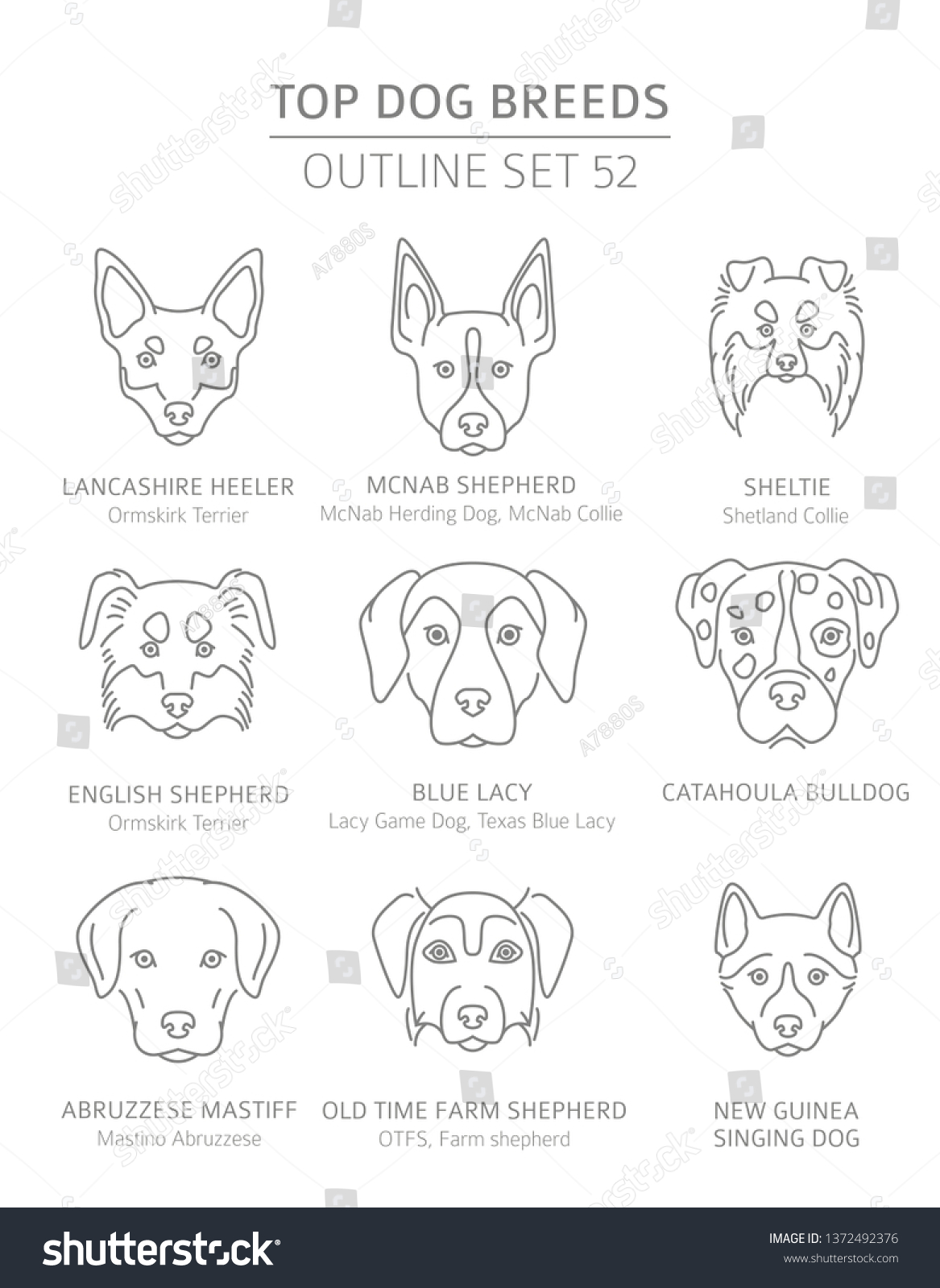 SVG of Top dog breeds. Hunting, shepherd and companion dogs set. Pet outline collection. Vector illustration svg