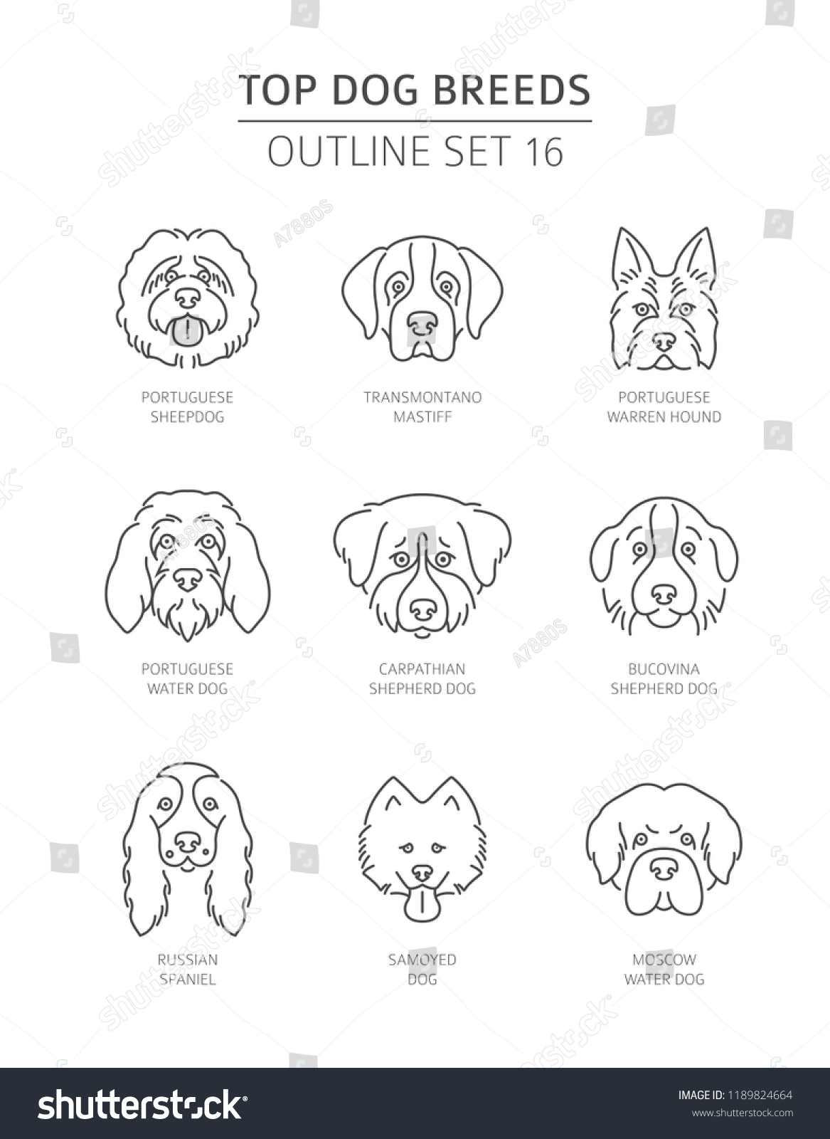 SVG of Top dog breeds. Pet outline collection. Vector illustration svg