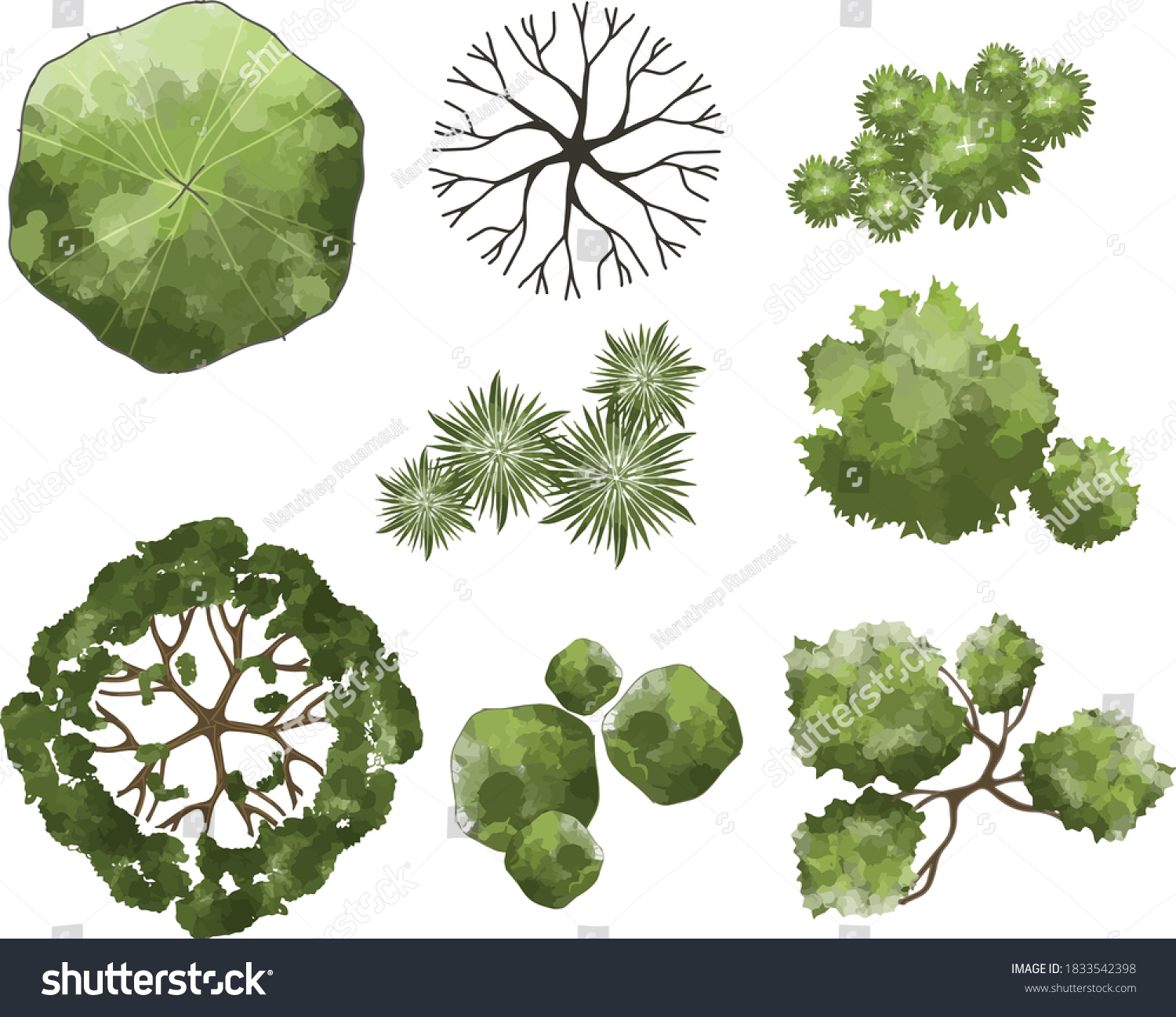 Top View Trees Vector Landscape Plant: เวกเตอร์สต็อก (ปลอดค่าลิขสิทธิ์ ...