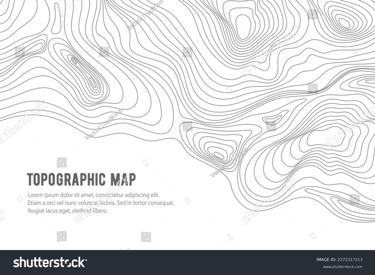 SVG of Topographic map, grid, texture, relief contour of terrain. Vector pattern background with mountains and flat land wavy line contours. Abstract monochrome topographic map, topography, cartography theme svg
