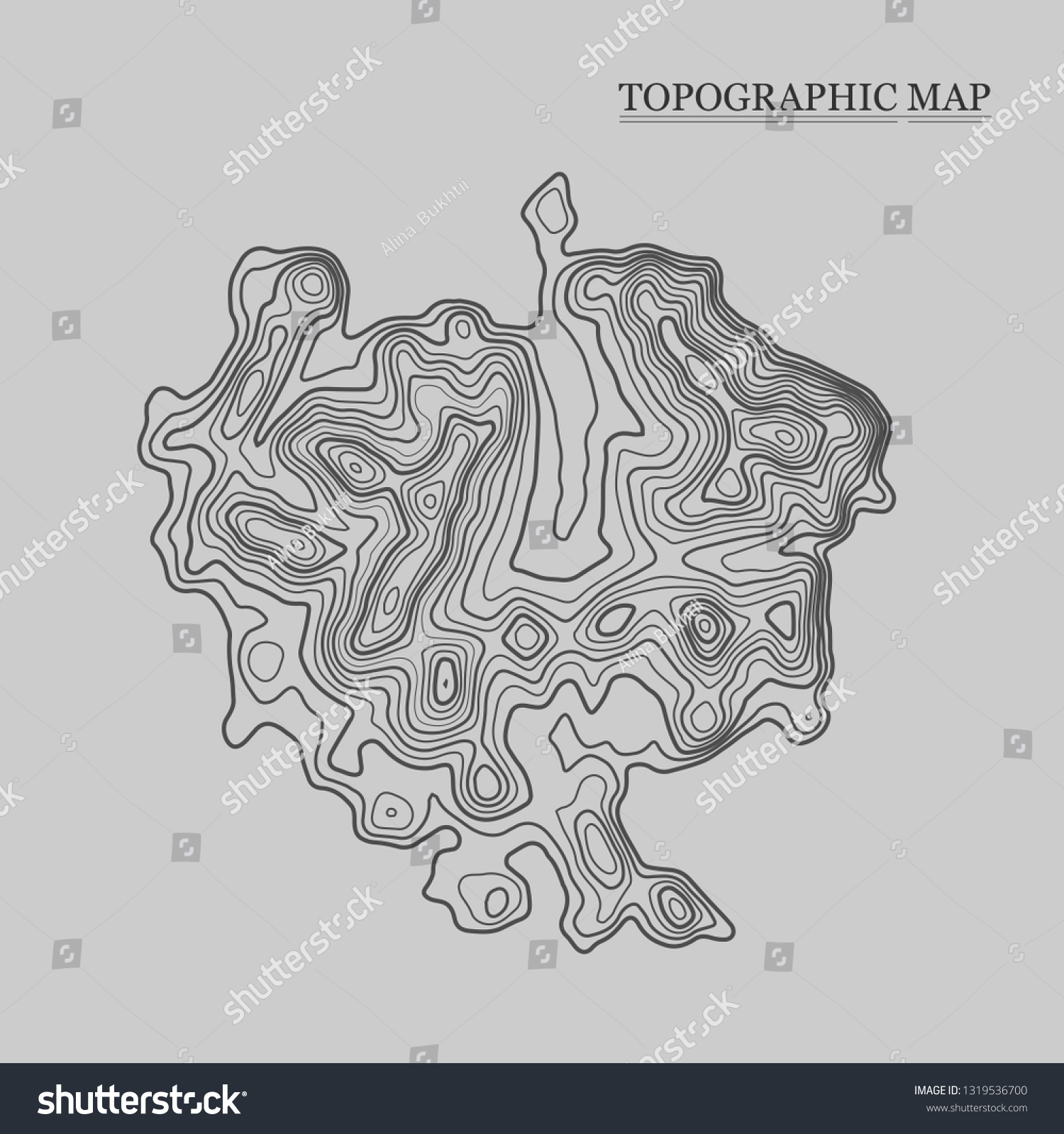 Topographic Map Vector Illustration Contour Map Stock Vector (Royalty ...