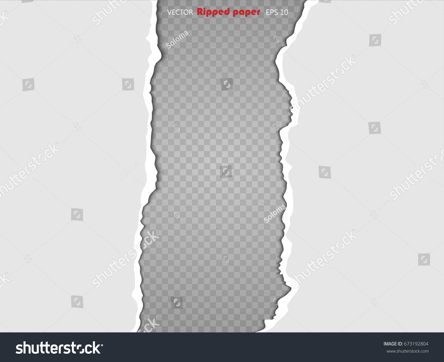 Torn Paper Sheet Ripped Edges Isolated Stock Vector (Royalty Free) 673192804 Shutterstock