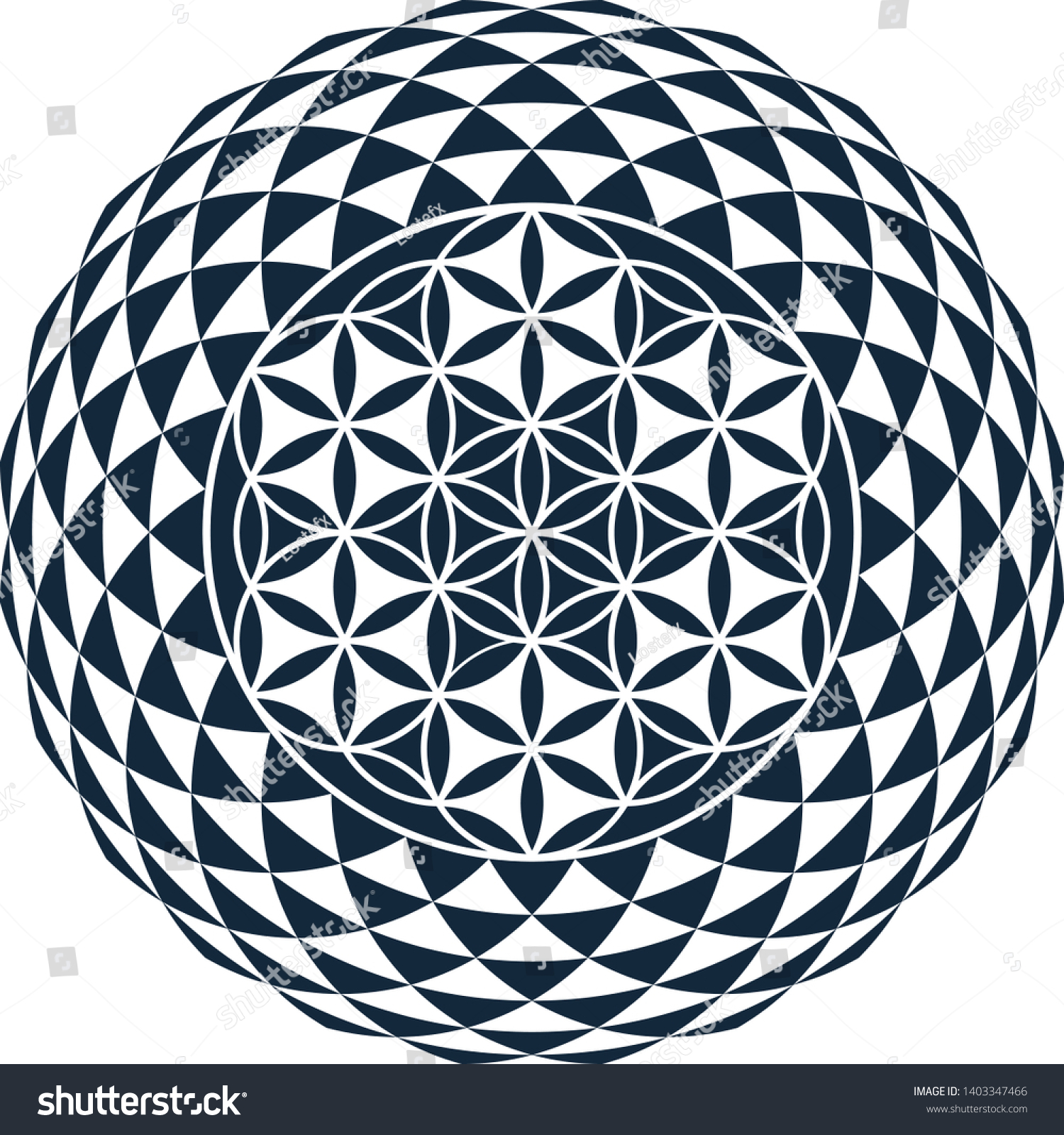 Torus Flower Life Sacred Geometry Stock Vector (Royalty Free) 1403347466