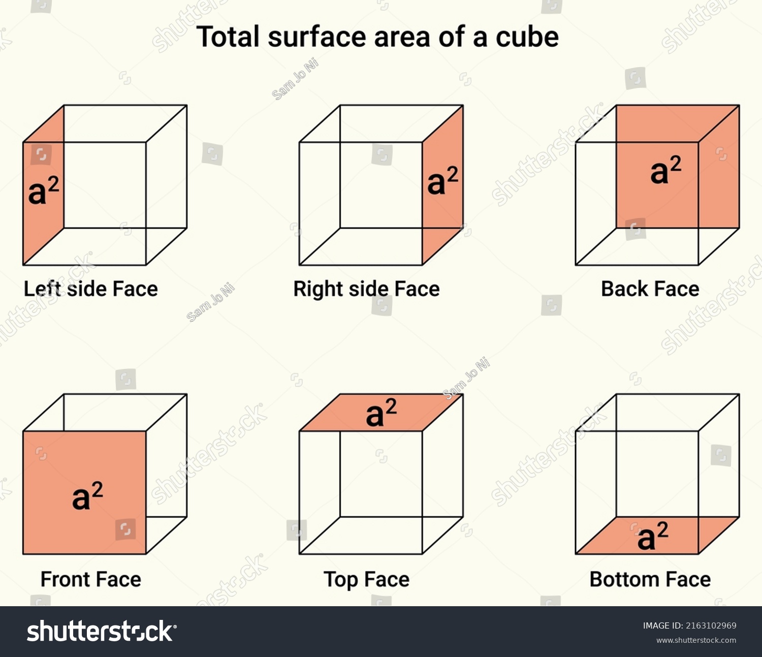 Total Surface Area Cube Stock Vector Royalty Free 2163102969 Shutterstock