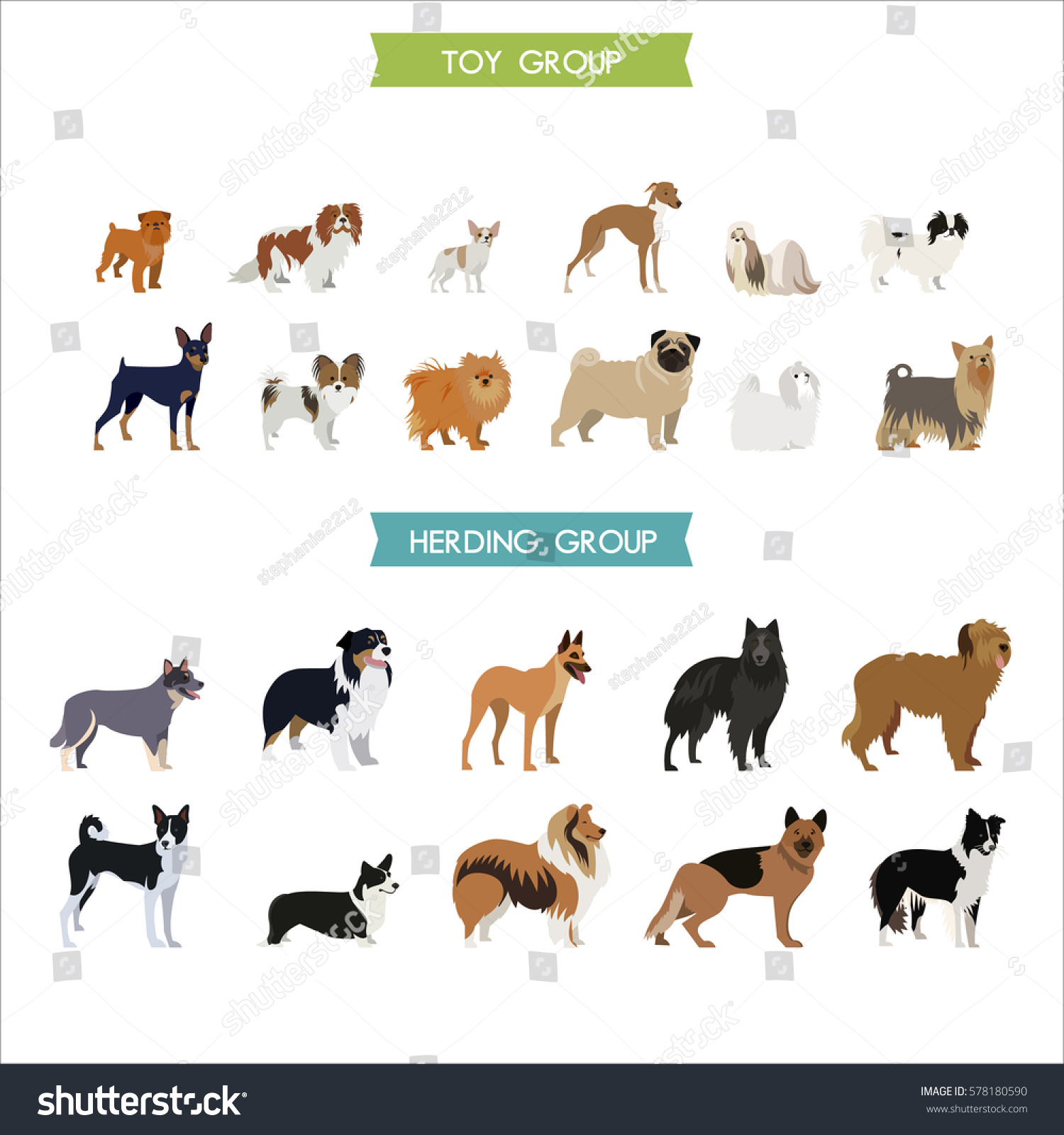 herding dog breeds