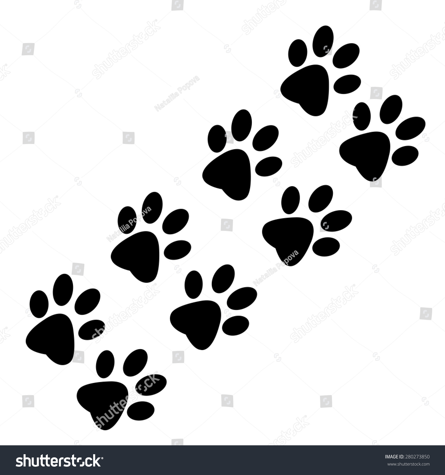 Traces Of Animal Paws On A White Background Stock Vector Illustration ...