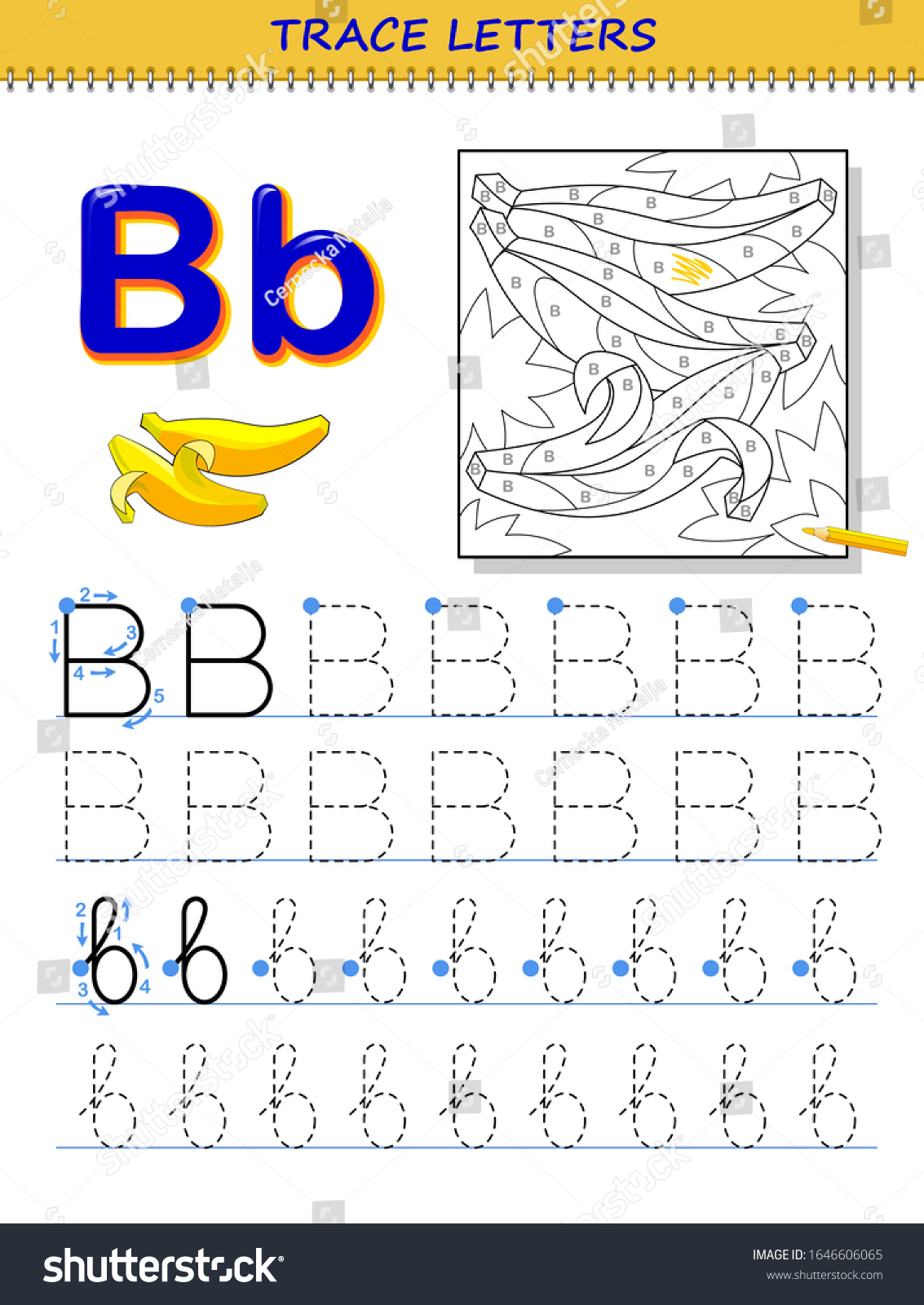 tracing letter b study alphabet printable stock vector royalty free 1646606065