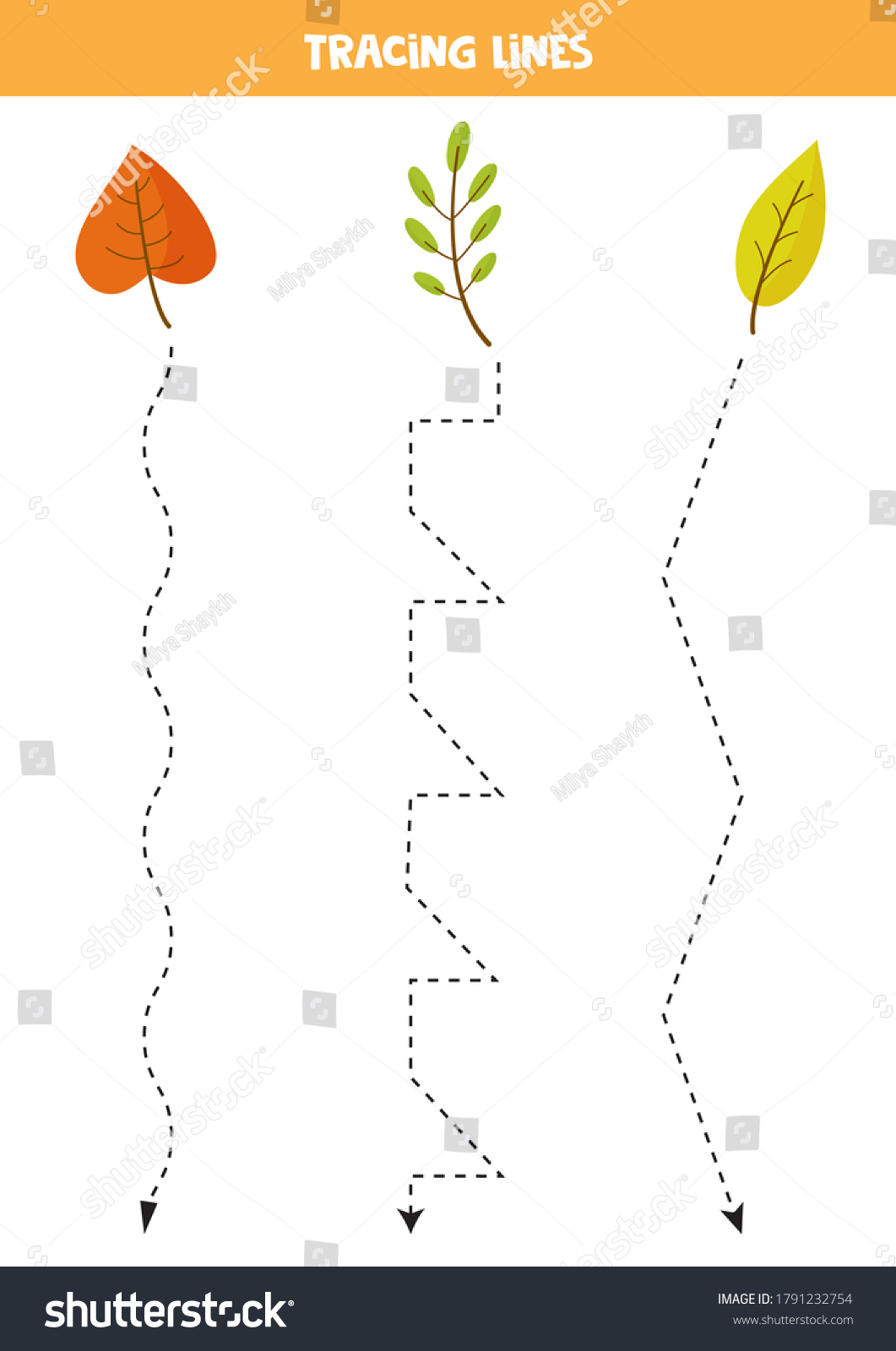 Tracing Lines Cartoon Autumn Leaves Writing Stock Vector (Royalty Free ...