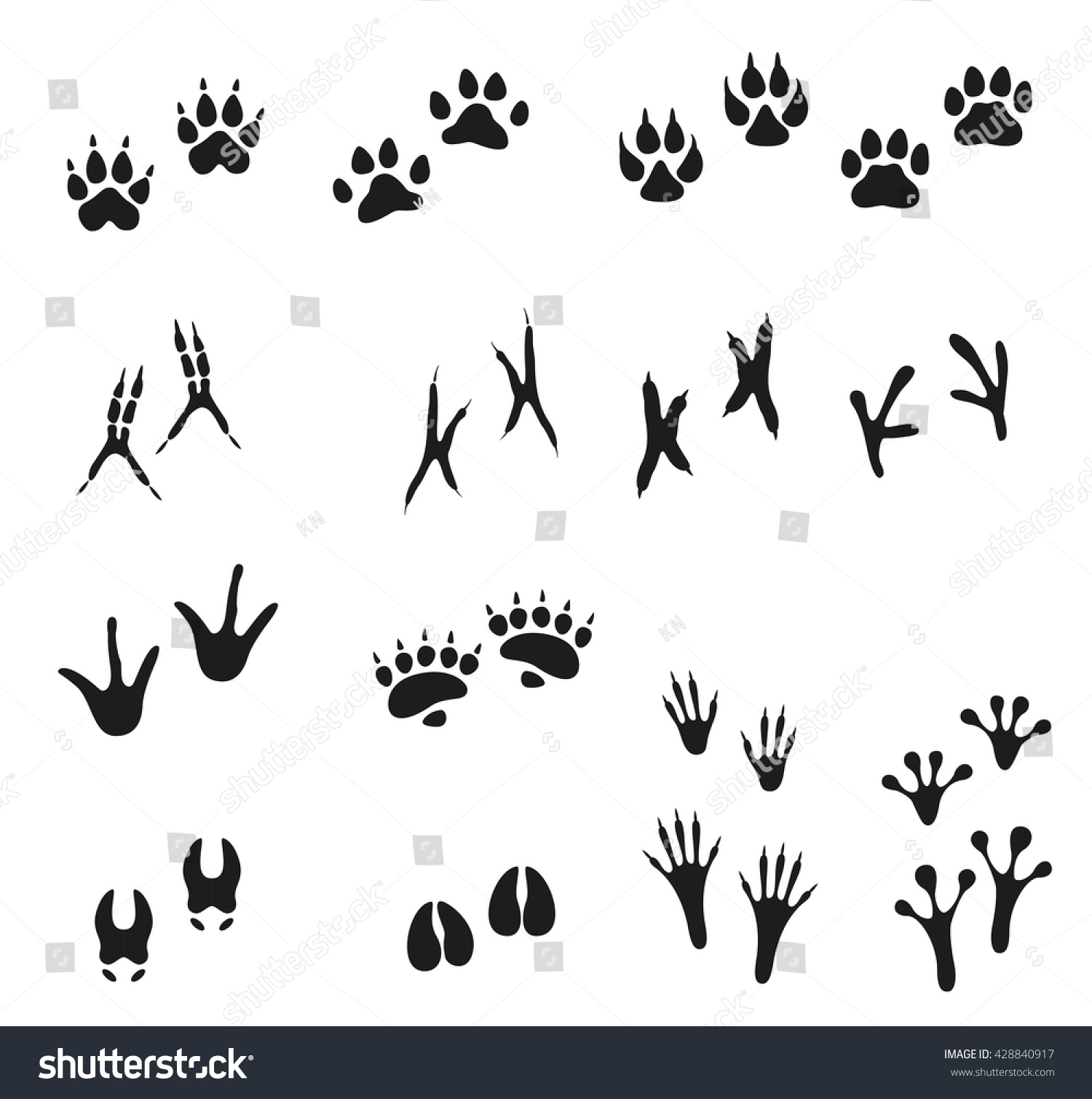 Tracks Of Wild Animals And Birds. Paw Print. Isolated Icons On White 