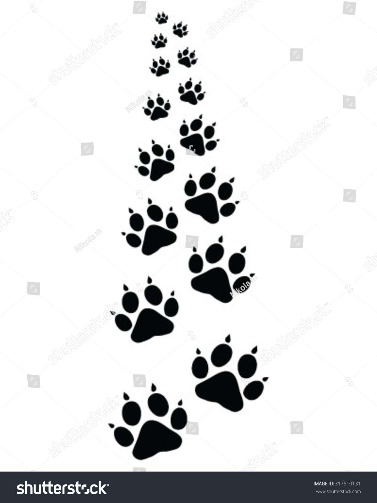 Trail Forward Of Footsteps Of Cat, Vector Illustration - 317610131 ...