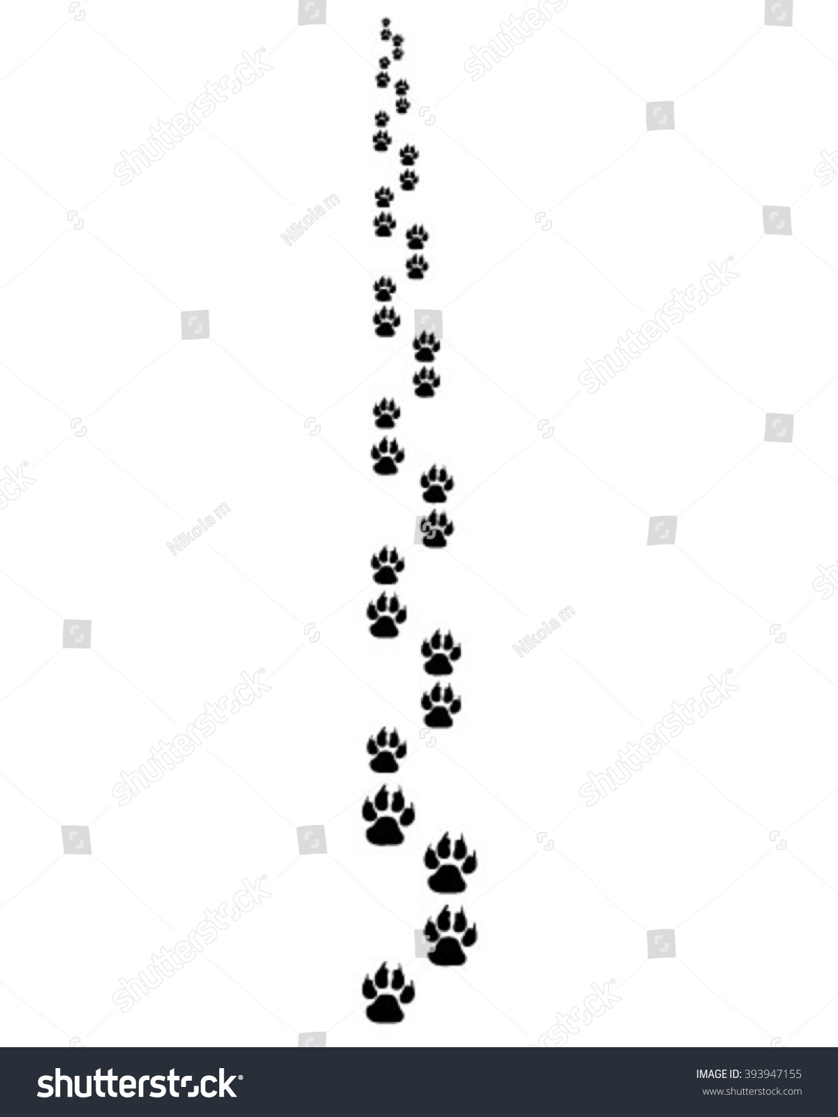 Trail Forward Footsteps Cat Vector Illustration Stock Vector (Royalty ...