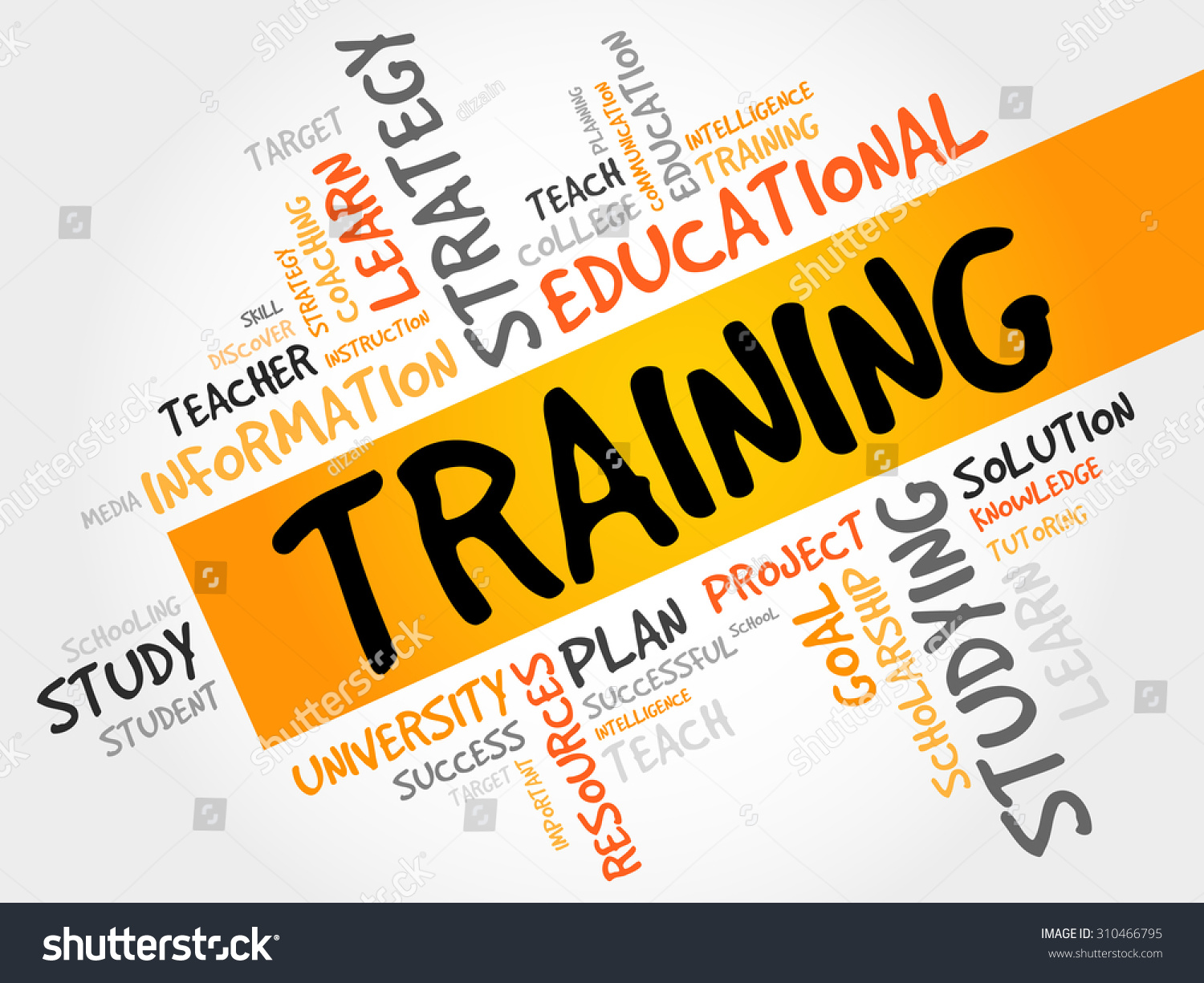 Training Word Cloud Education Concept Stock Vector Royalty Free