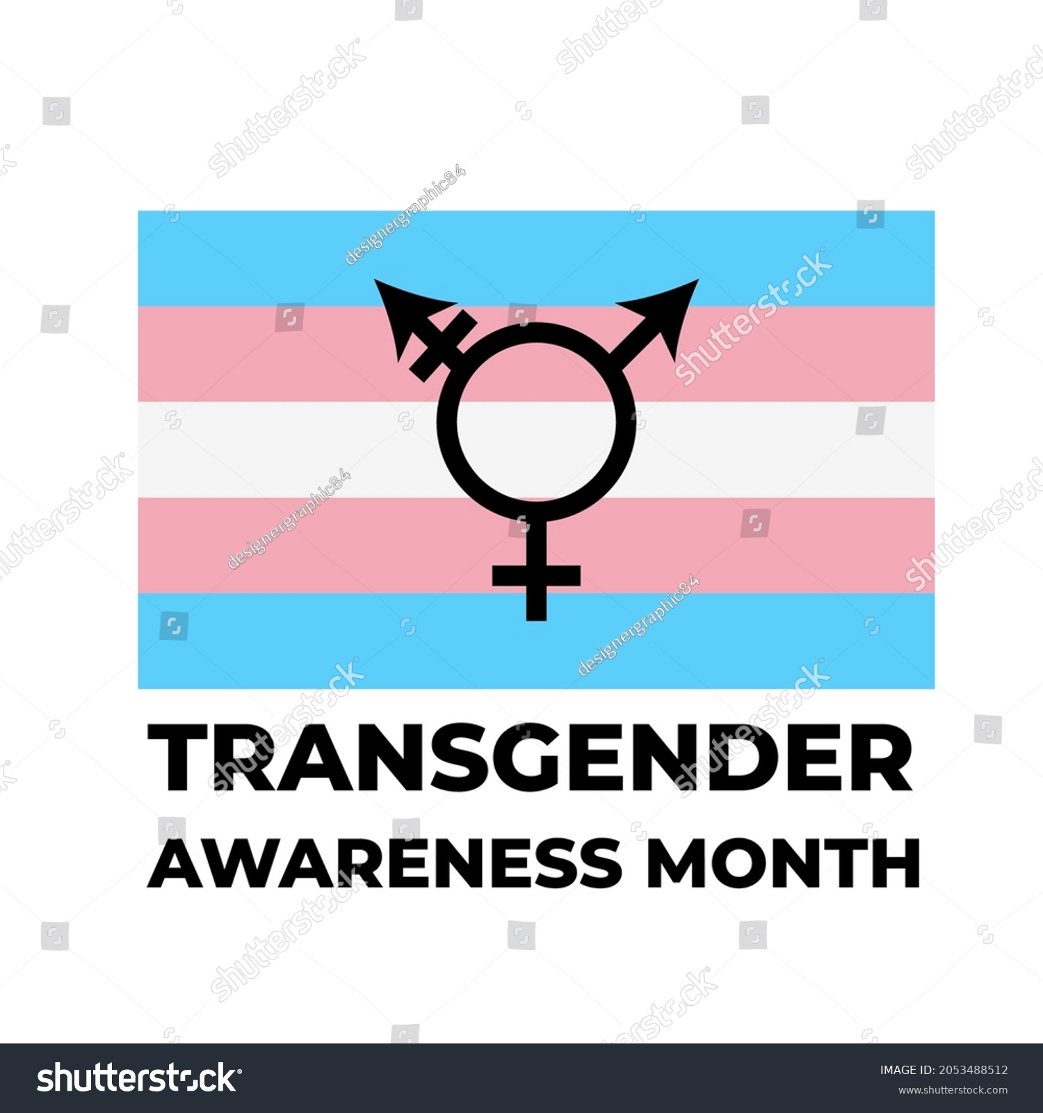 Transgender Awareness Month Lettering Transgender Pride Stock Vector Royalty Free 2053488512