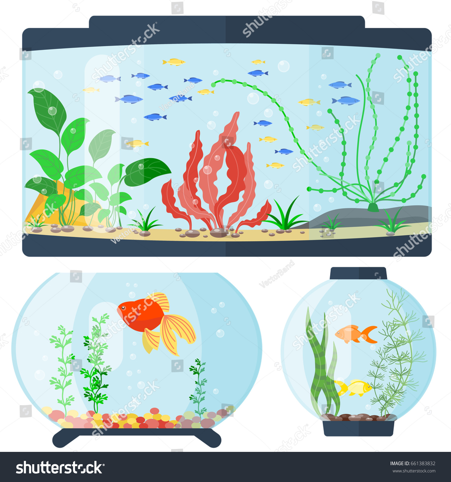 Aquarium Design Eps | transparent aquarium vector illustration habitat water Aquarium Design Eps | transparent aquarium vector illustration habitat water