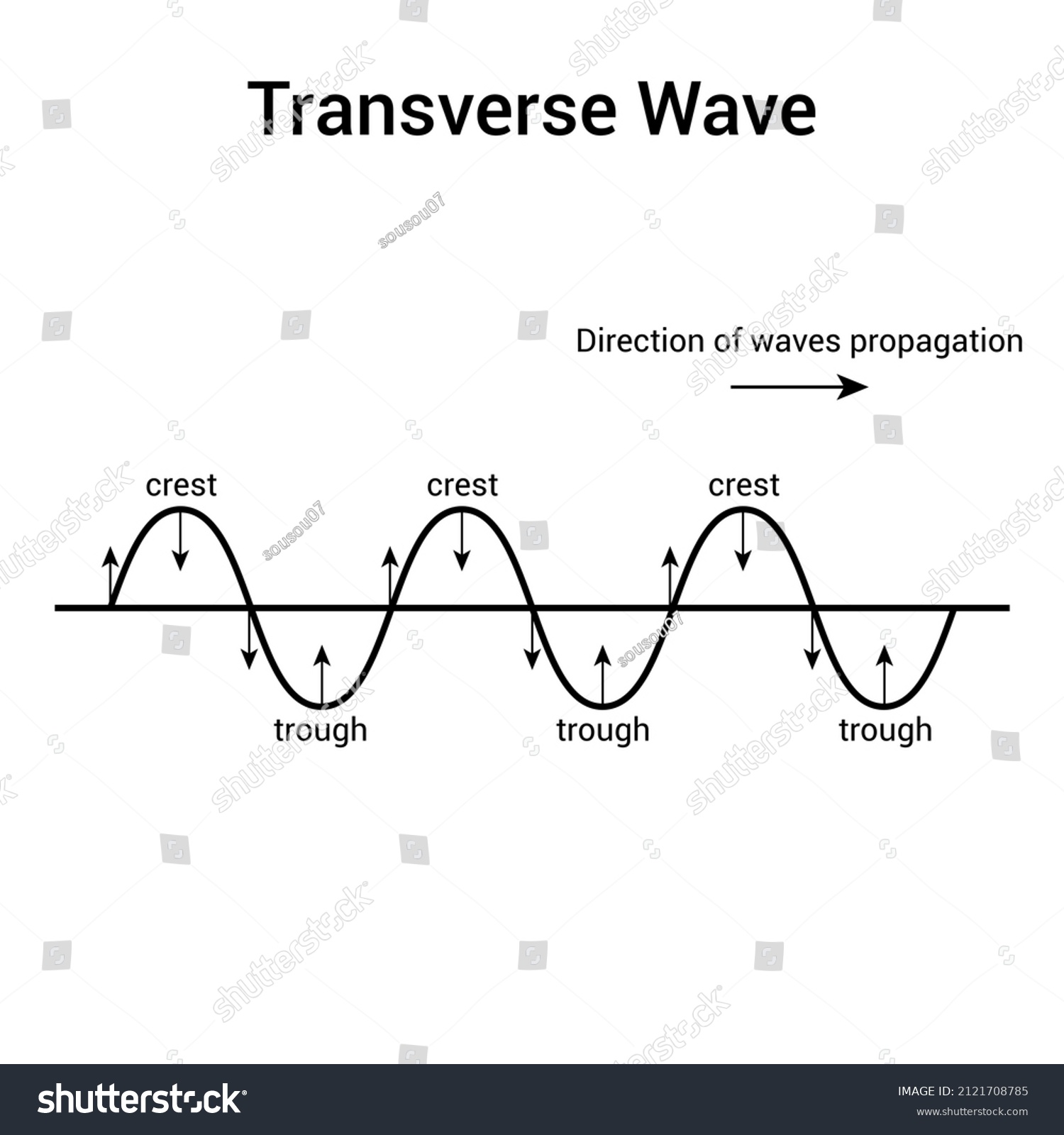 Transverse Wave Diagram Crest Trough Stock Vector (Royalty Free ...