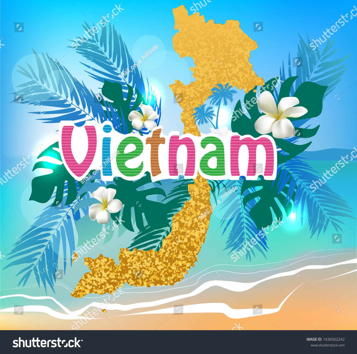 vietnam travel card