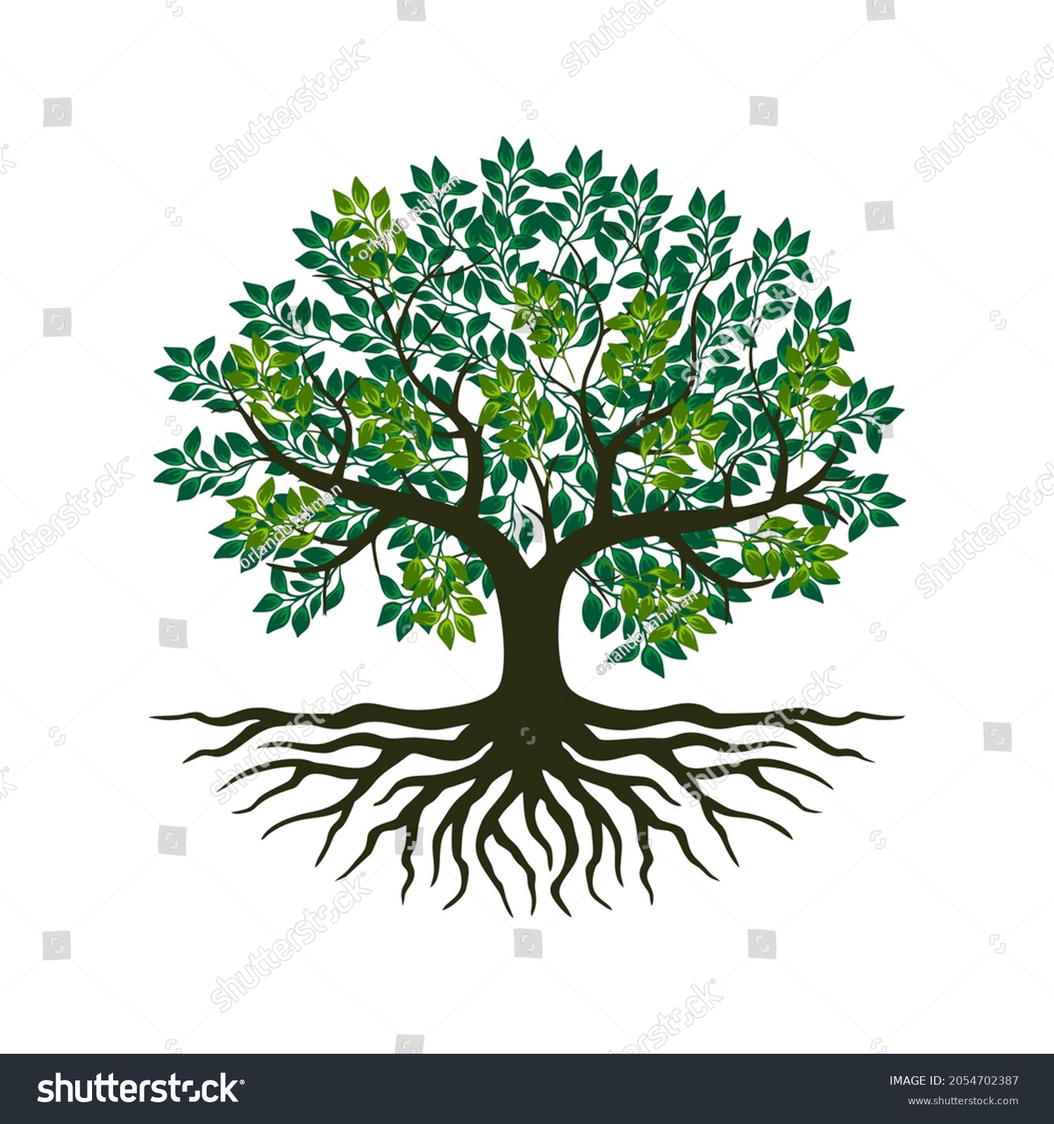 Tree Roots Vector Tree Round Shape Stock Vector (Royalty Free ...