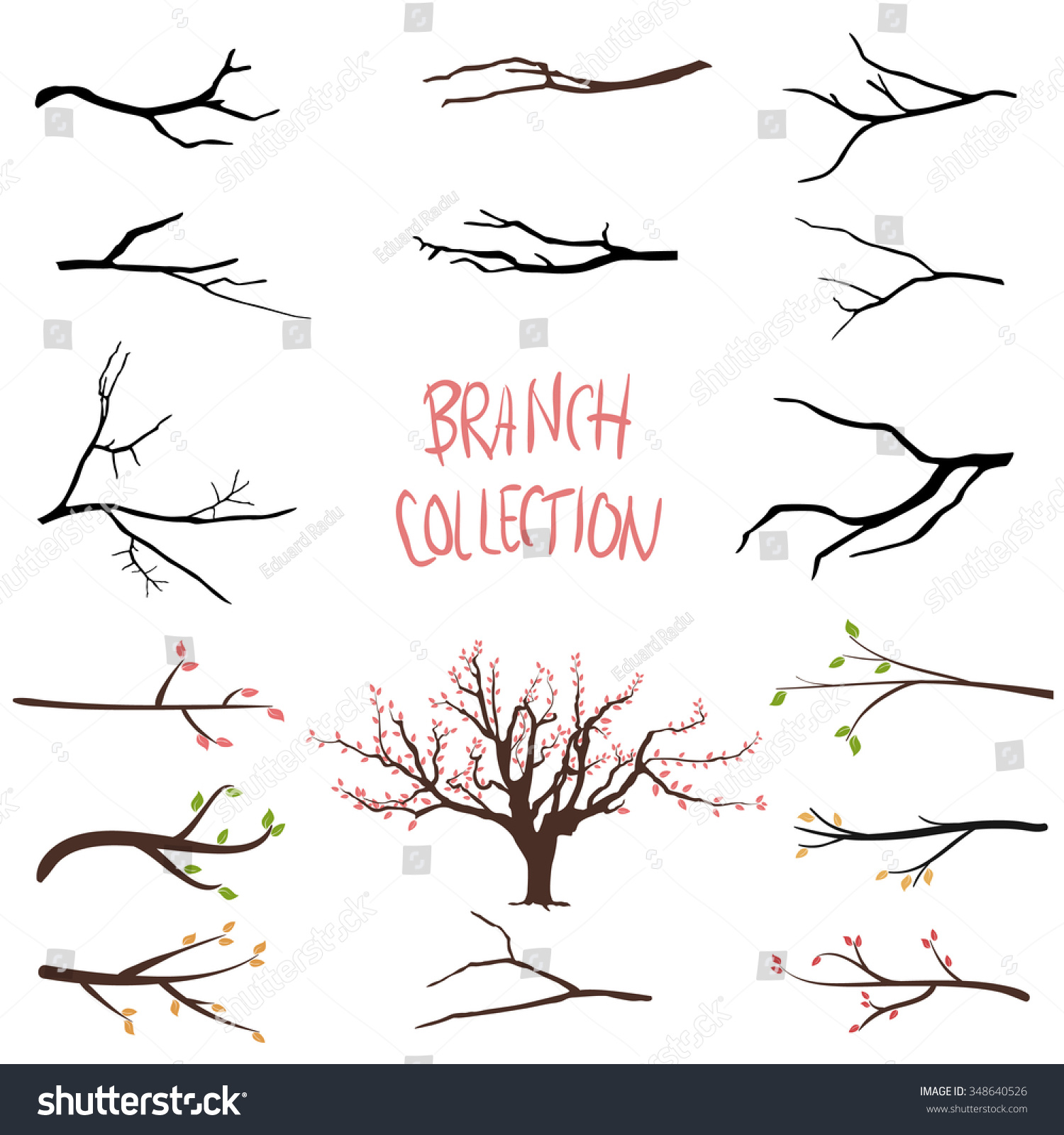 Tree Branches Stock Vector Illustration 348640526 : Shutterstock