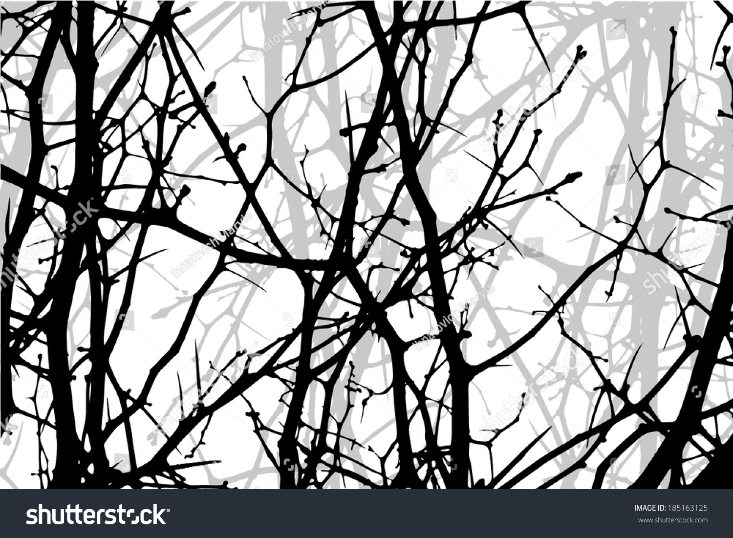 Tree Branches Vector Stock Vector 185163125 - Shutterstock