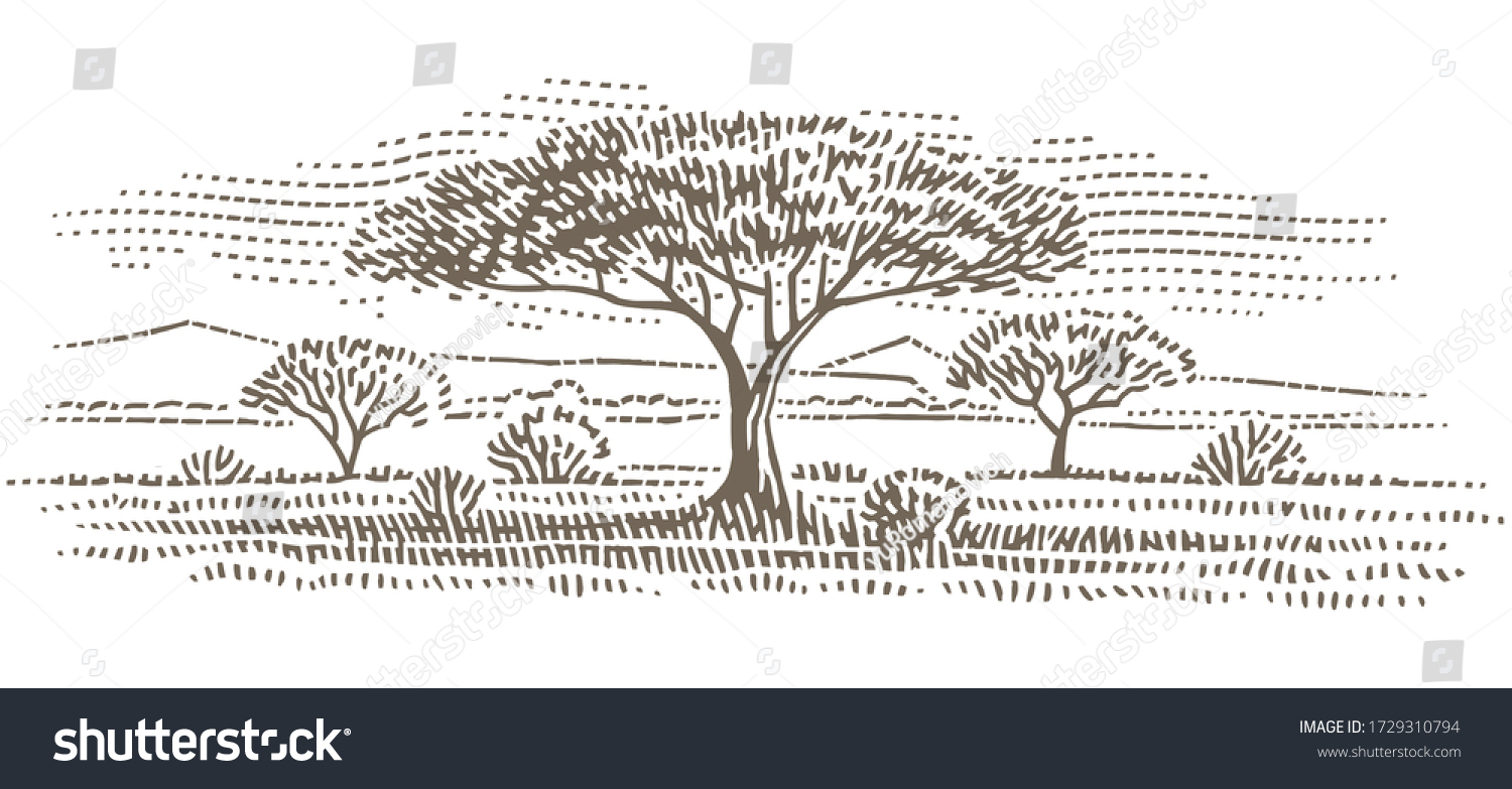 Tree Savanna Monochrome Illustration African Landscape Stock Vector ...