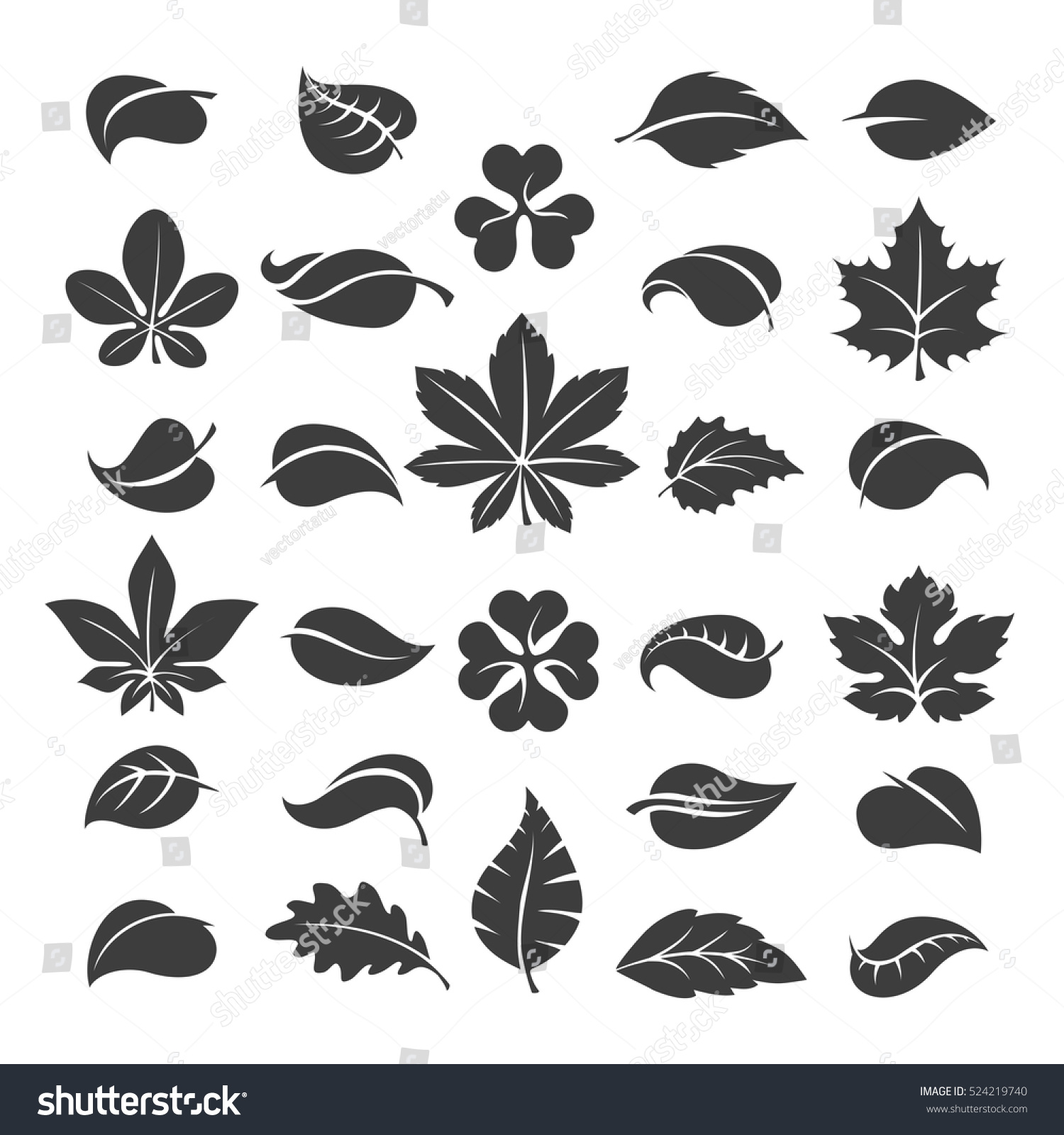 Tree Leaves Silhouettes Vector Leaf Set Stock Vector (Royalty Free ...