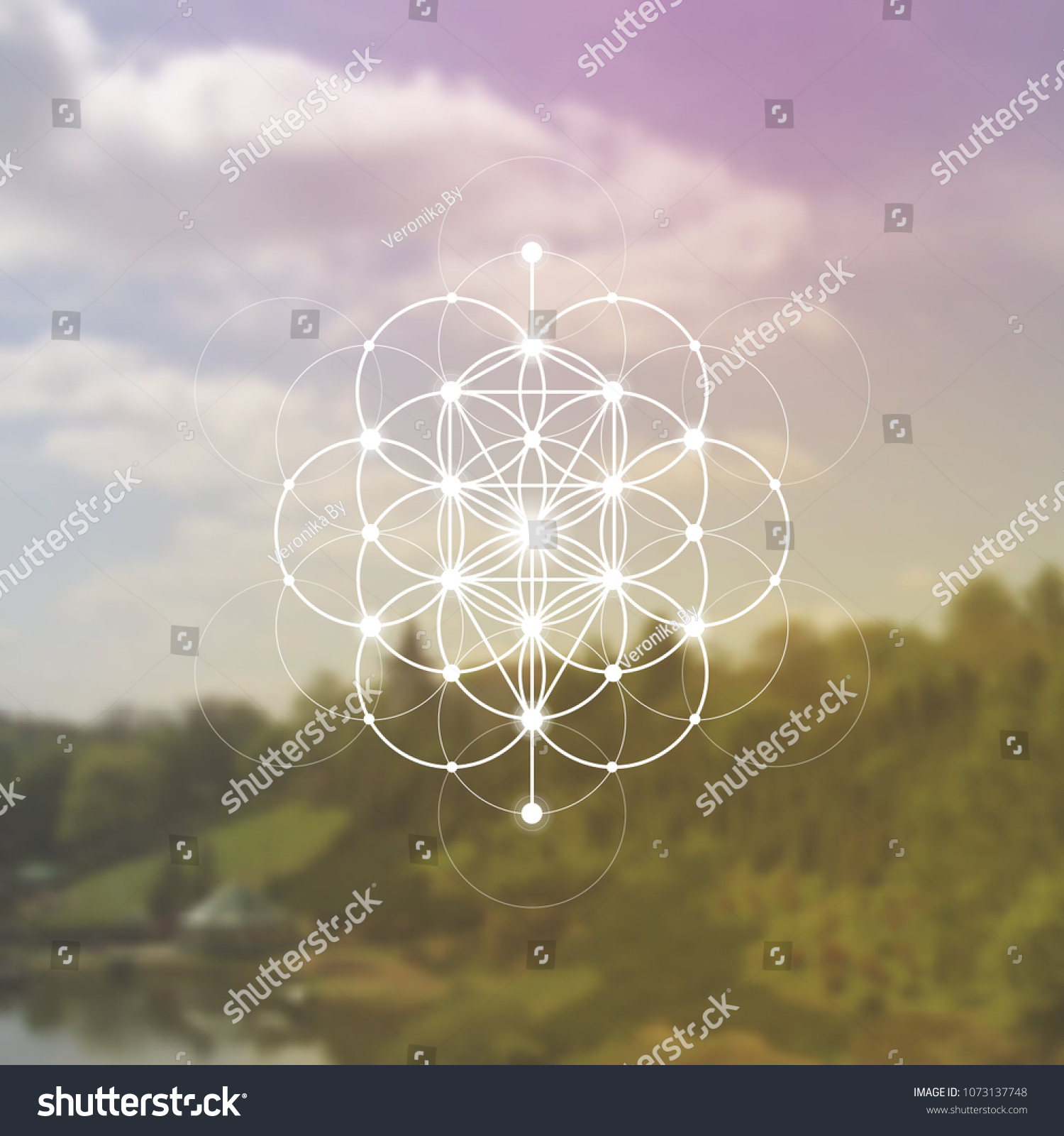 Tree Life Sacred Geometry Kabbalah Symbol Stock Vector (Royalty Free ...