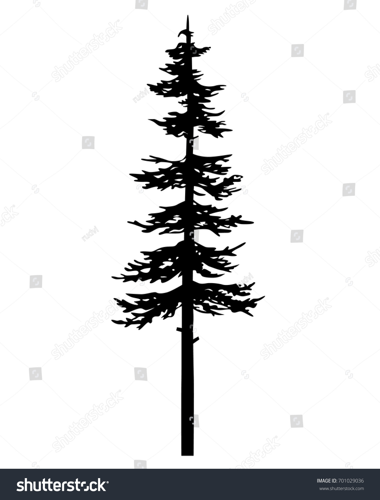 SVG of tree pine silhouette, cypress evengreen vector, cedar forest wood illustration, conifer tree logo template, tattoo  design, white and black drawing illustration, icon tree template svg