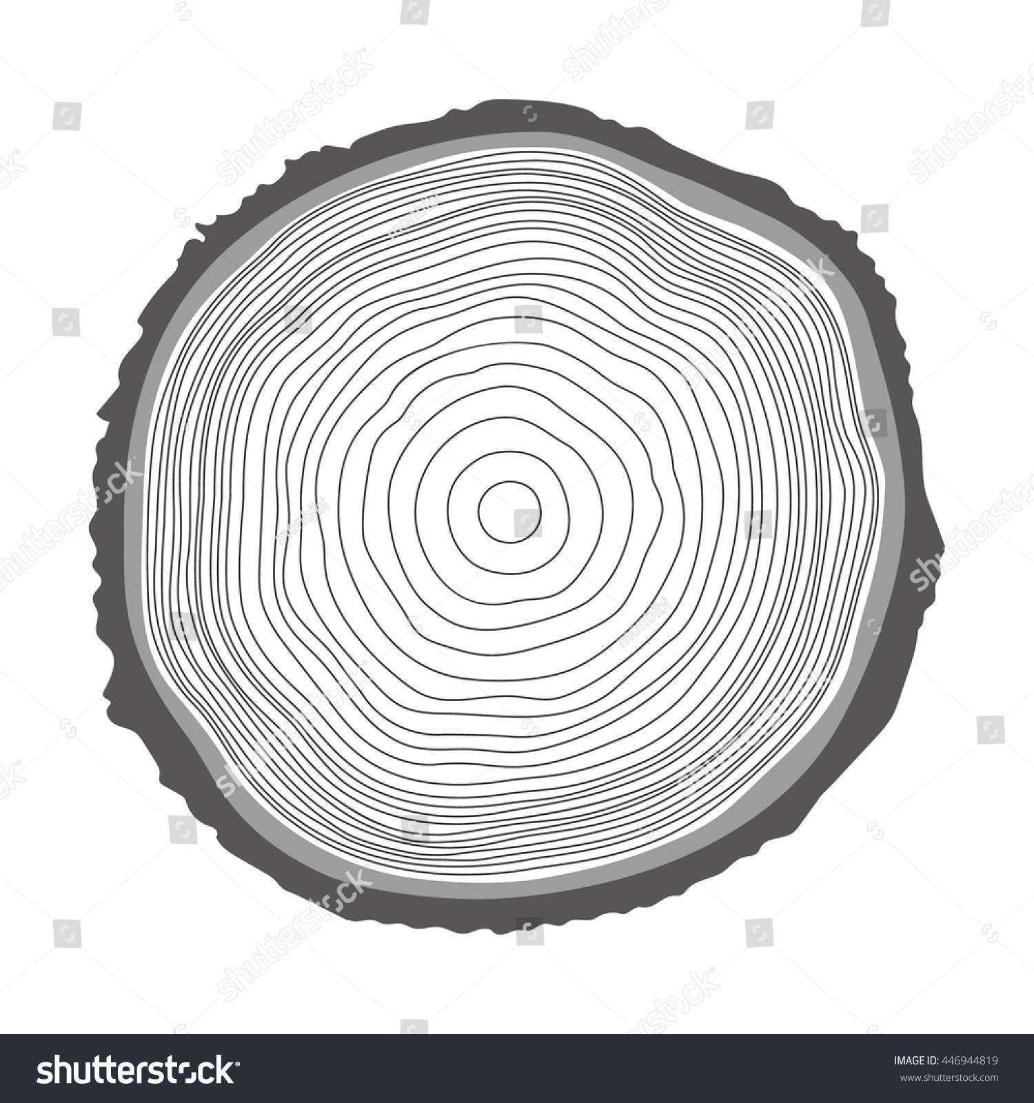 Tree Rings Illustration Vector Illustration Stock Vector 446944819 ...