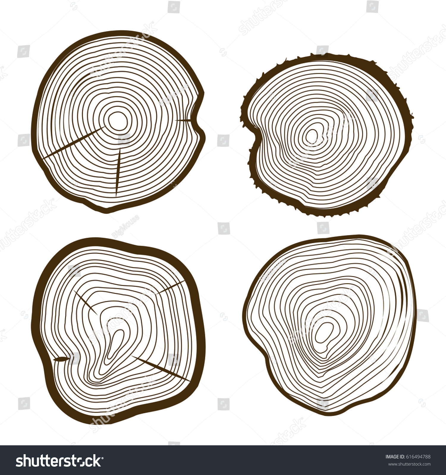 Tree Rings Set Saw Cut Trunk Stock Vector (Royalty Free) 616494788