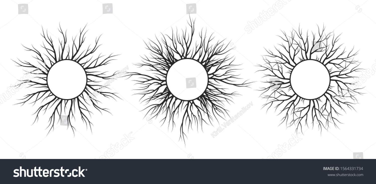 Tree Root Frame Set Vector Isolated Stock Vector (Royalty Free) 1564331734