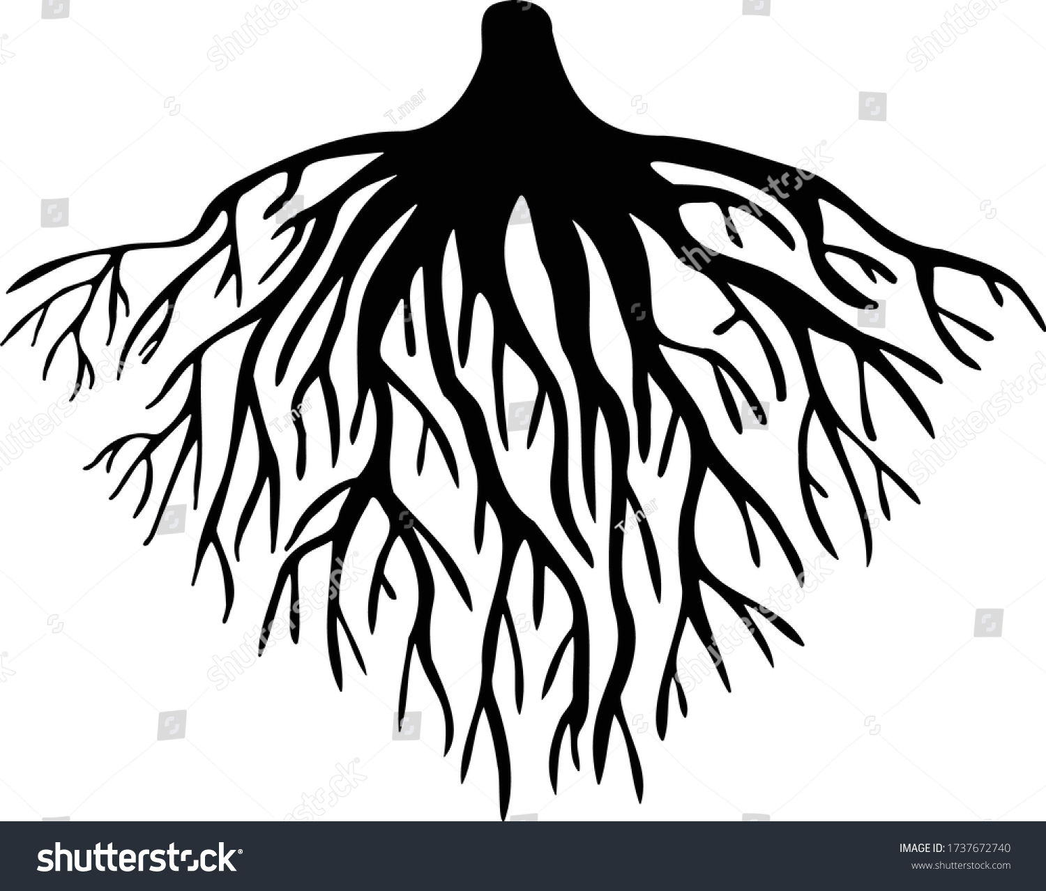 Tree Roots Silhouette Vector Drawing Stock Vector (Royalty Free ...