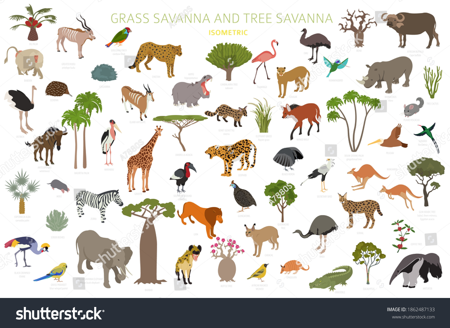 SVG of Tree savanna and grass savanna biome, natural region isometric 3d infographic. Woodland and grassland savannah, prarie, pampa. Animals, birds and vegetations ecosystem design set. Vector illustration svg