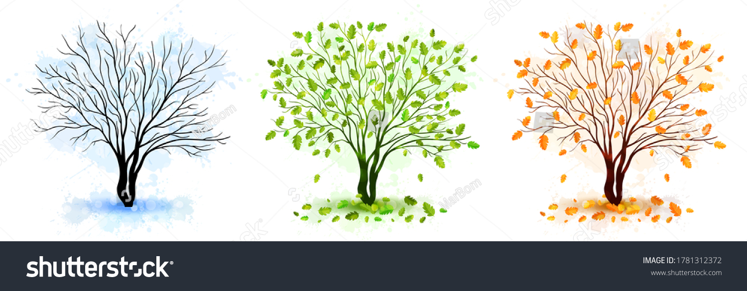 Tree Seasons Nature Background Vector Illustration Stock Vector ...