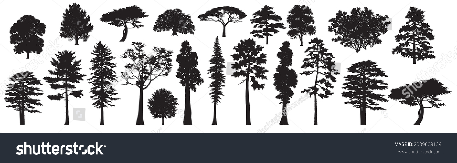 SVG of Tree Set. Different Tree Silhouette. Evergreen and Deciduous trees. Isolated on White Background. Vector Illustration. Forest and Park Elements. Nature collection. Black Hand Drawing Illustration. svg