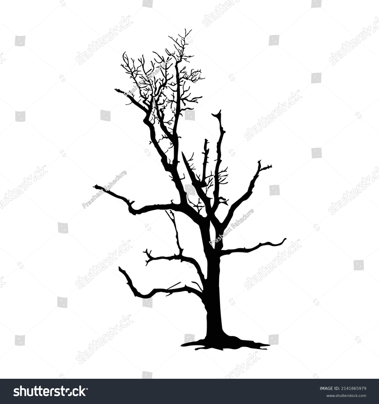 Tree Silhouette On White Background Stock Vector (Royalty Free ...