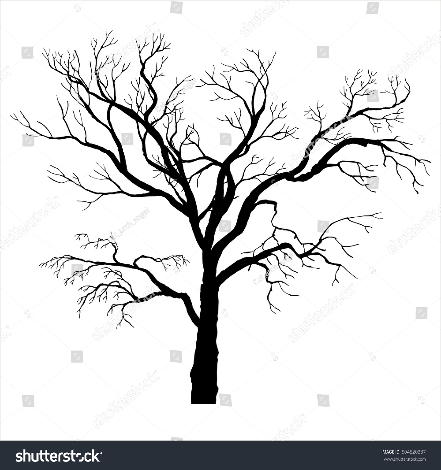 Tree Silhouette Without Leaves Winter Twigsisolated Stock Vector   Stock Vector Tree Silhouette Without Leaves Winter Twigs Isolated Hand Drawn Vector Elements 504520387 