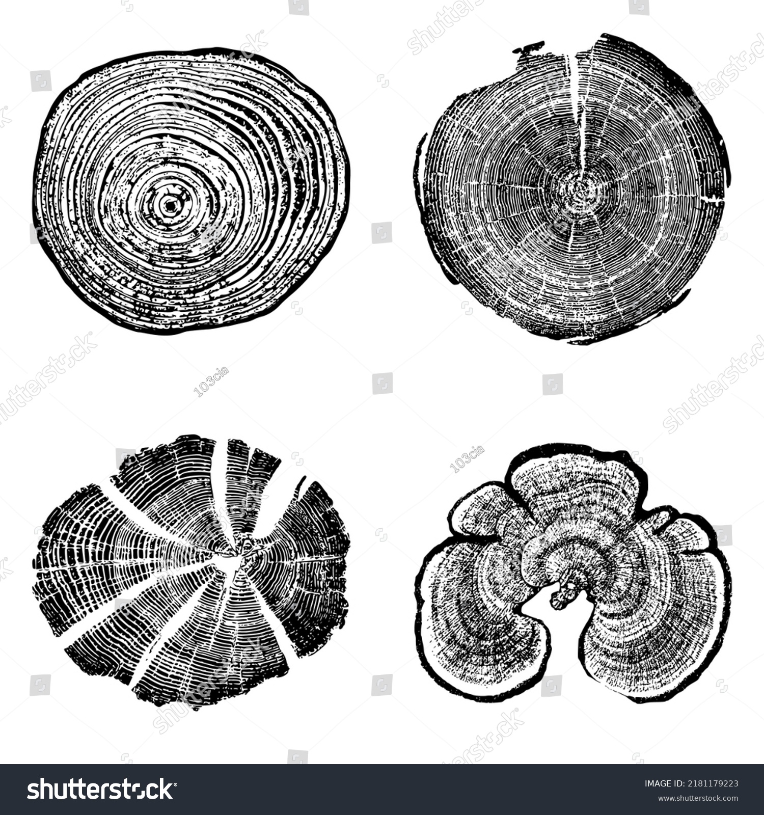 SVG of Tree stump circle rings. Wood log silhouette print. svg