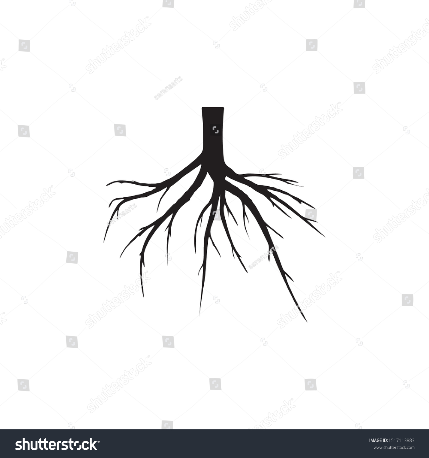 Tree Underground Roots Illustration Isolated On Stock Vector (Royalty ...