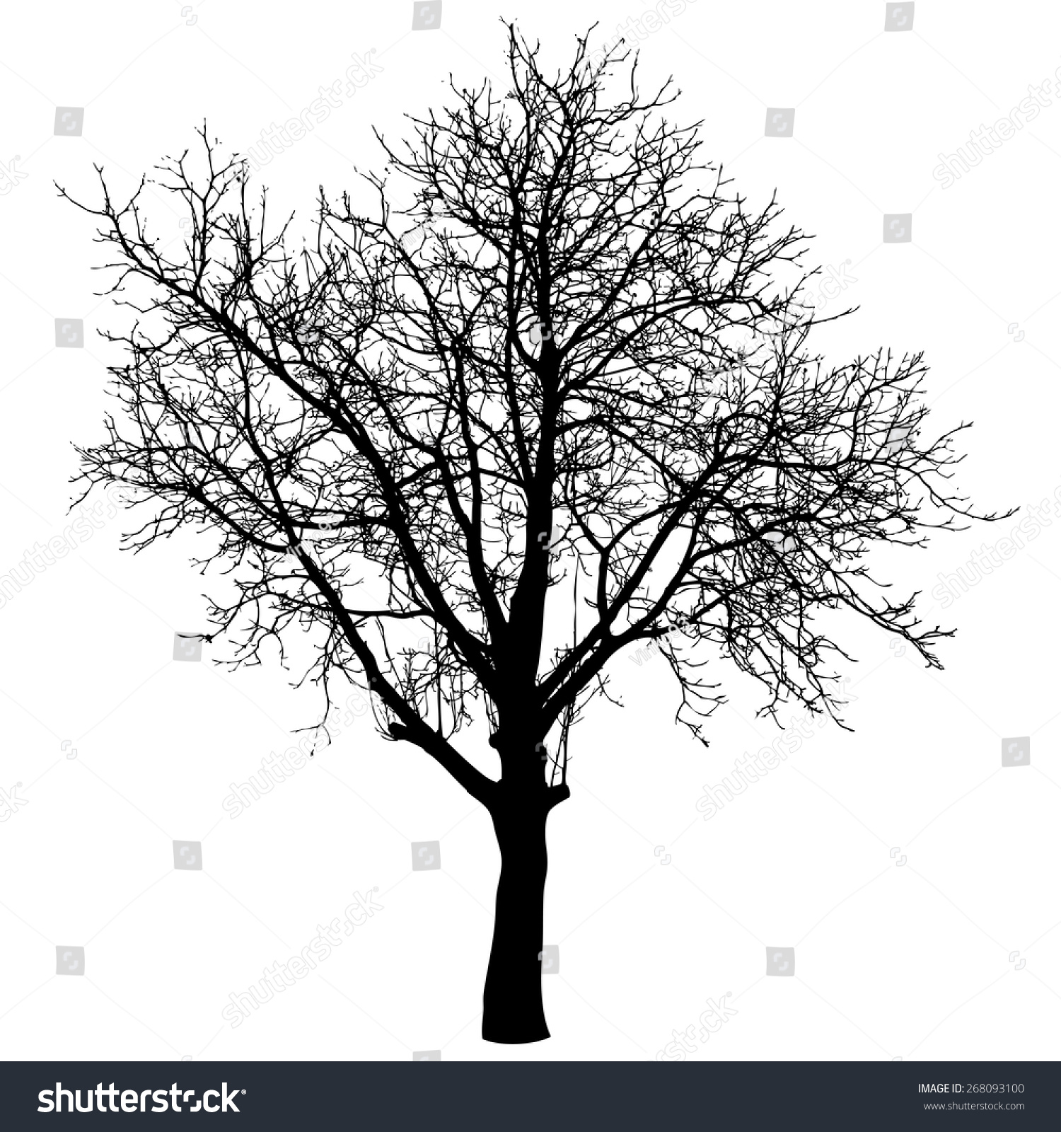 Tree Vector Illustration Stock Vector (Royalty Free) 268093100