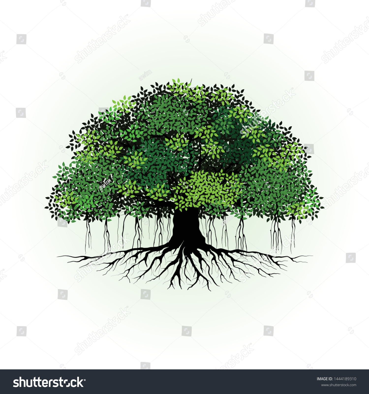 SVG of tree vector illustration. roots of banyan tree. mangrove plant svg